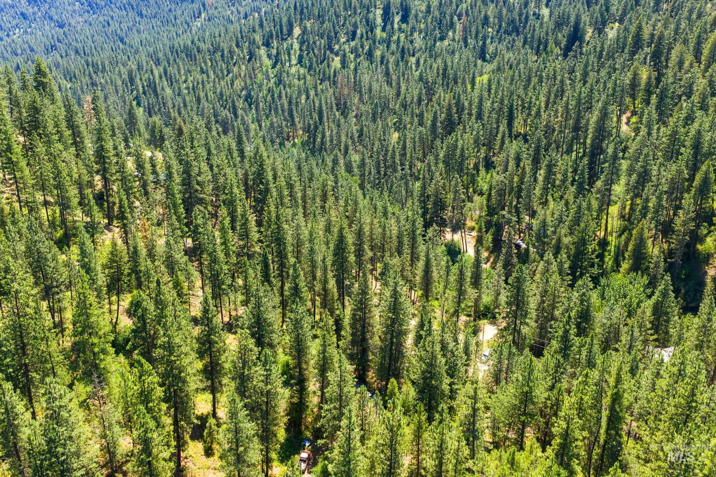 Bird's eye view of a heavily wooded area