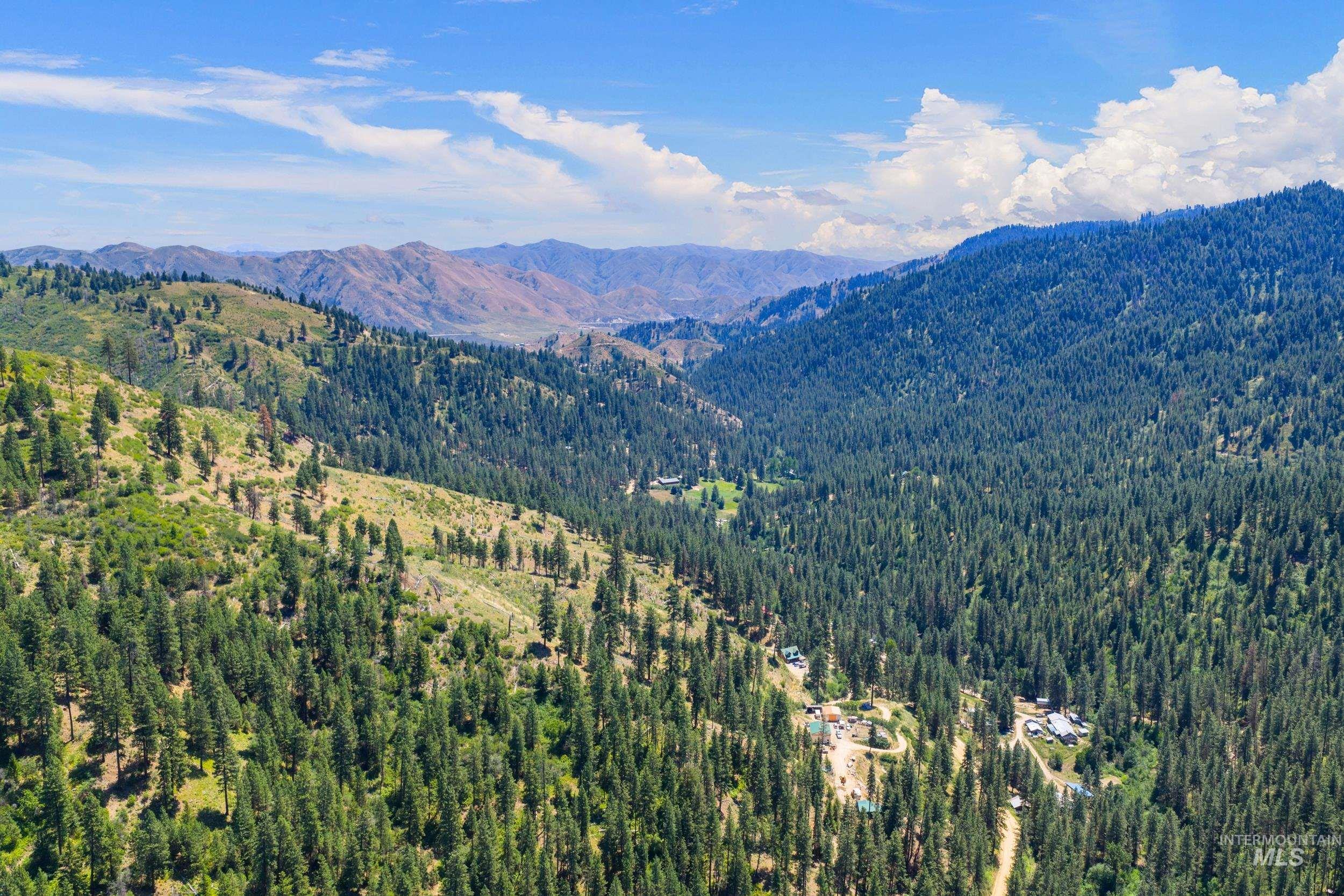 Mountain view featuring a forest