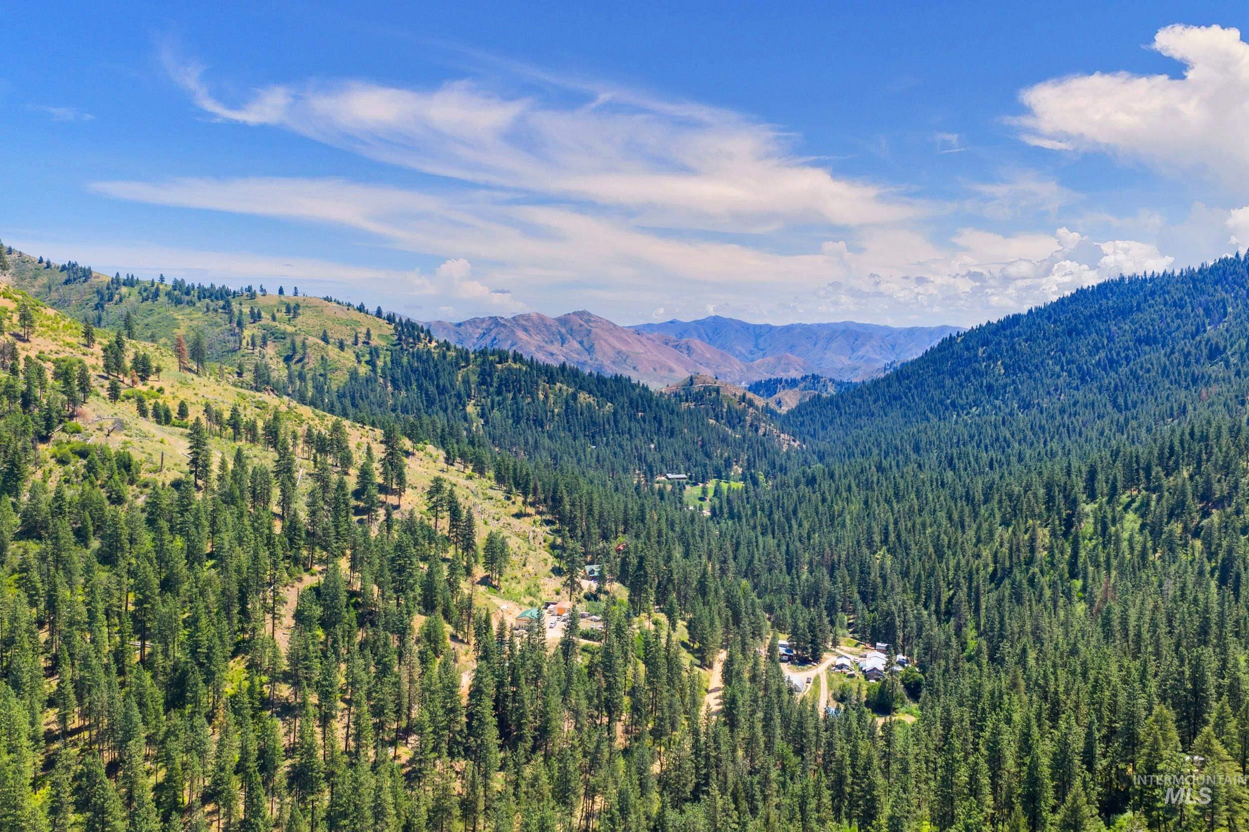 View of mountain backdrop featuring a heavily wooded area