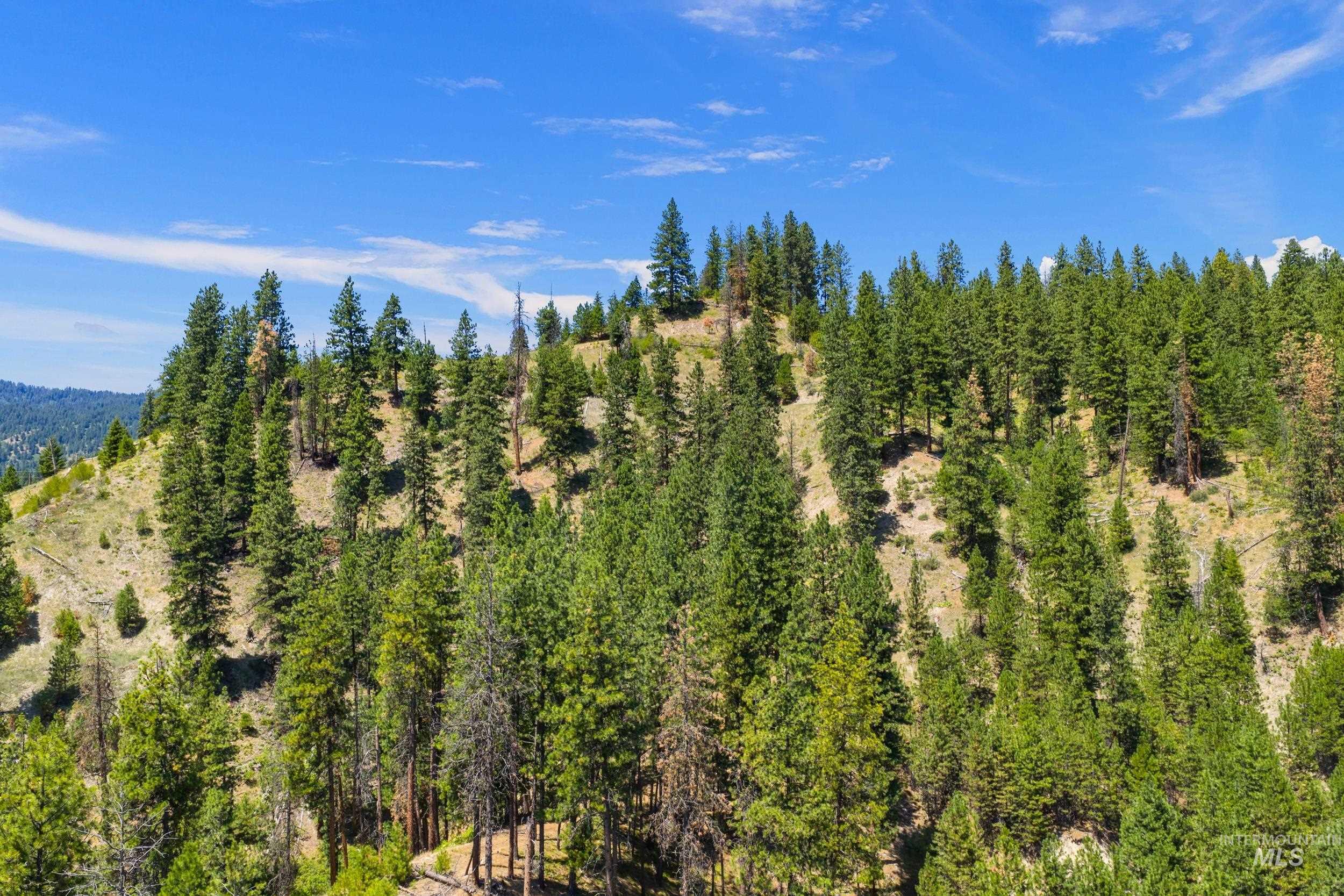 View of mountain background featuring a heavily wooded area