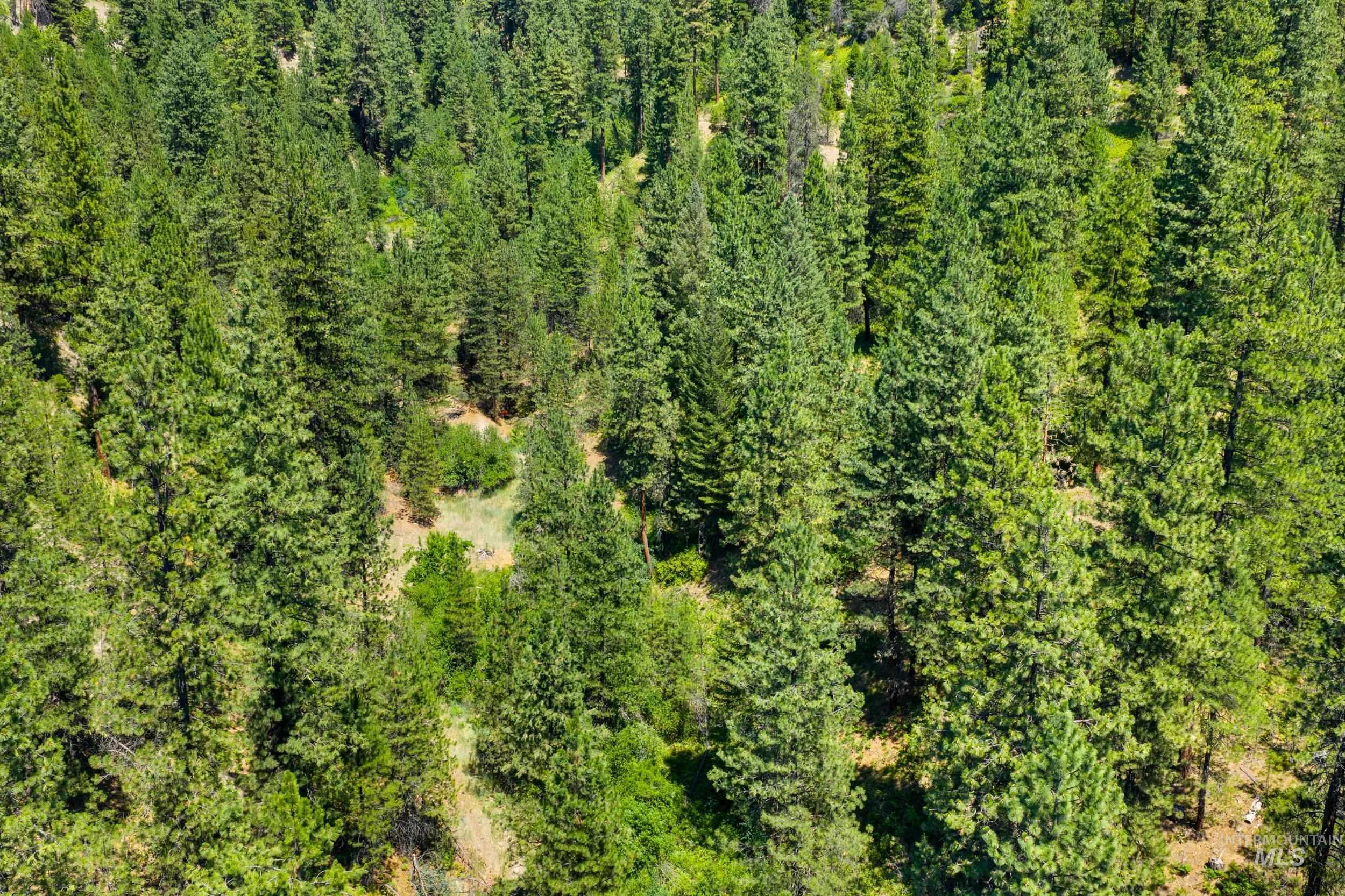 Bird's eye view of a heavily wooded area