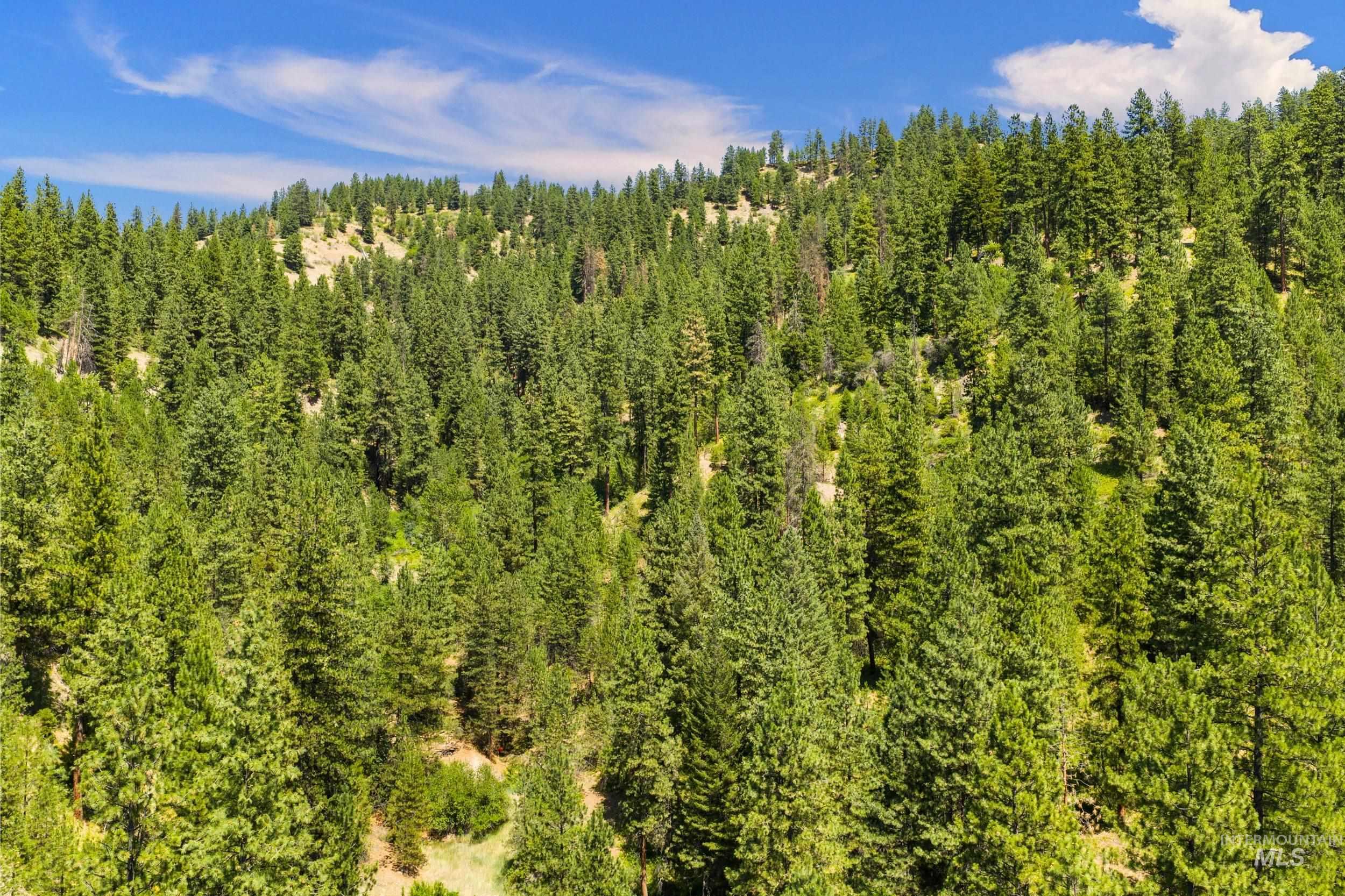 View of wooded area