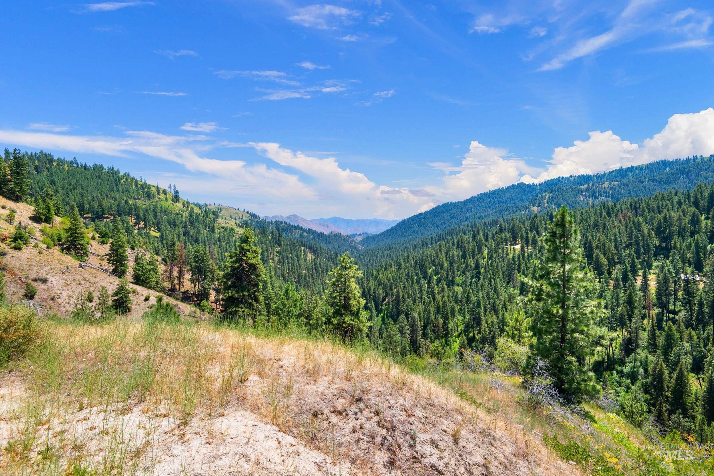 View of mountain backdrop featuring a forest