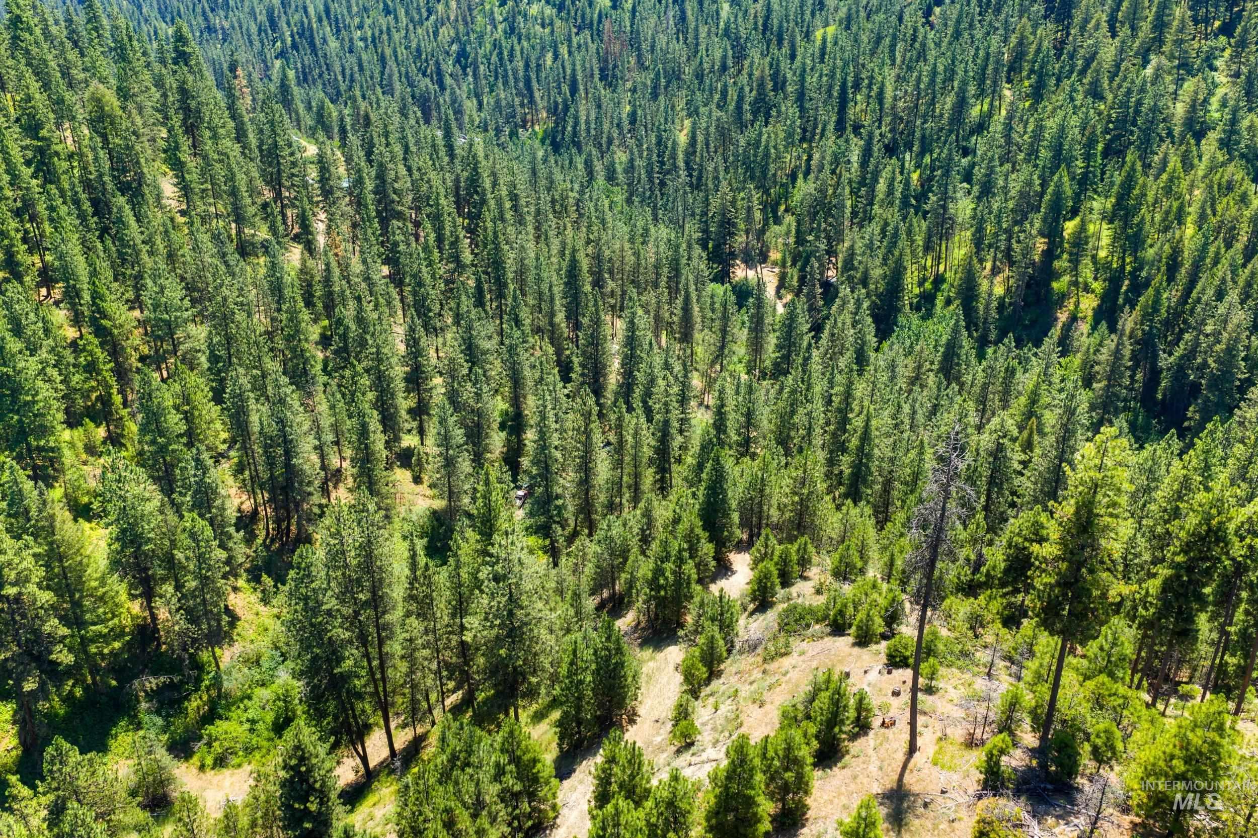 Aerial view of a heavily wooded area