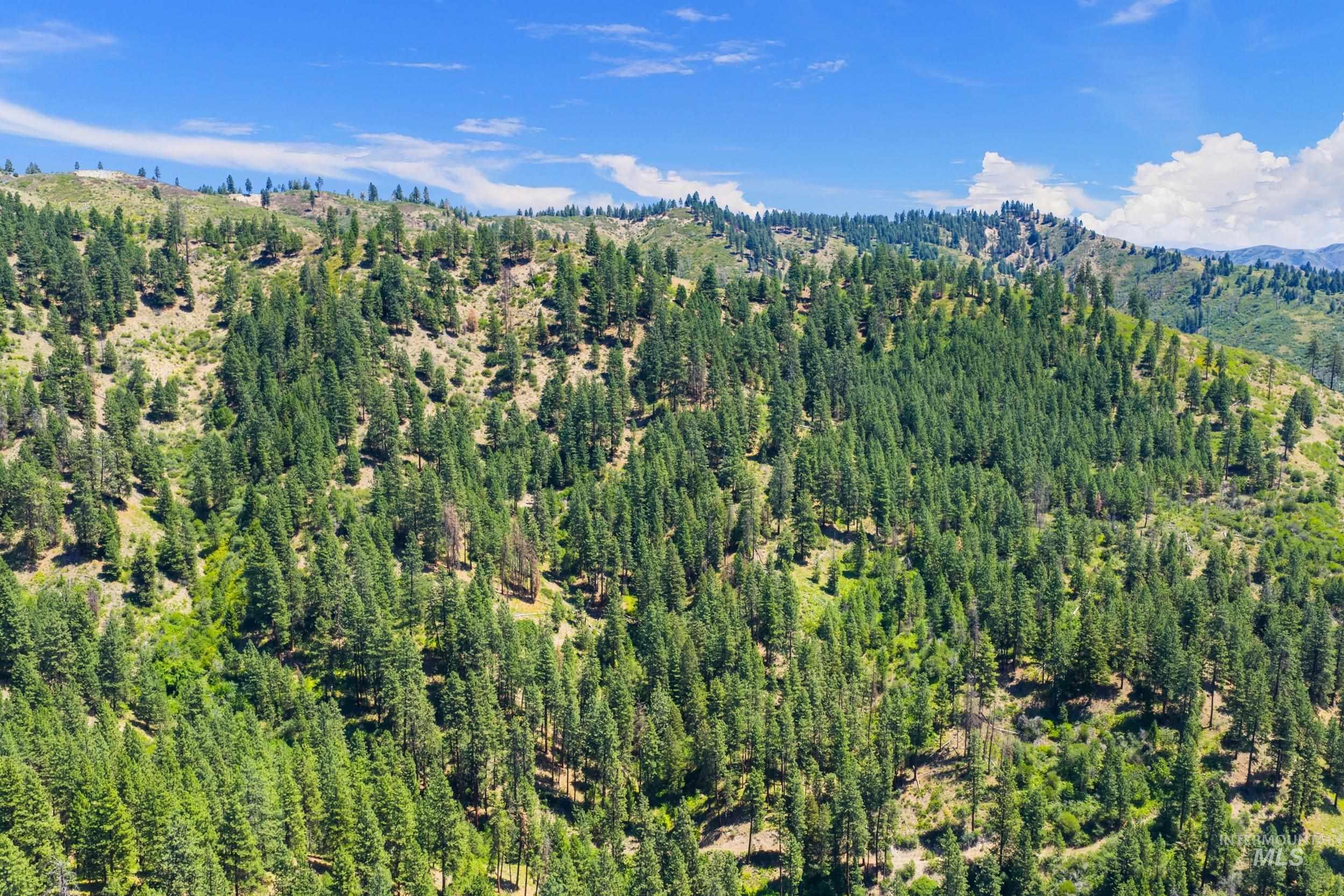 View of property location with a mountain backdrop and a forest