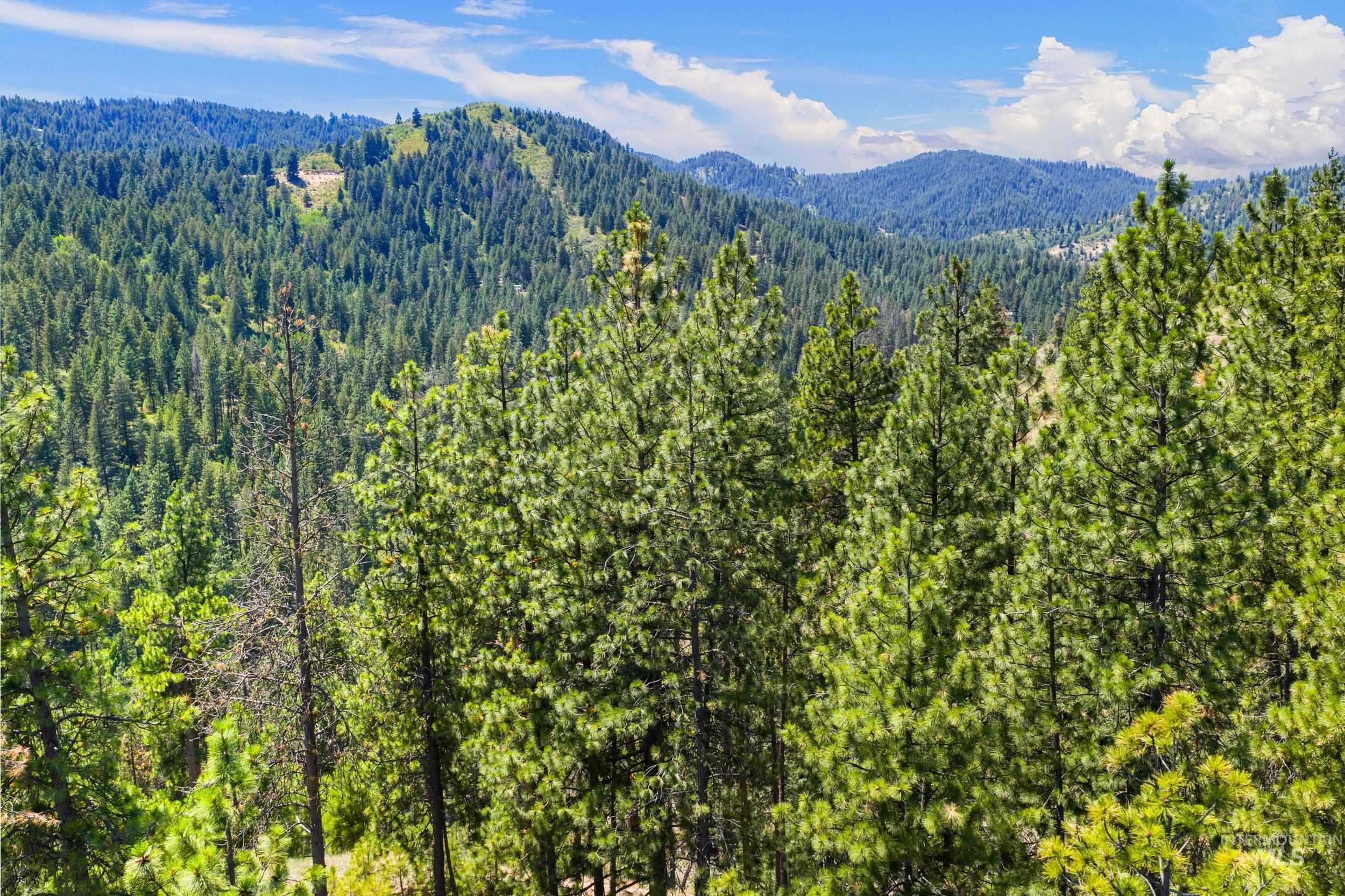 View of mountain backdrop with a heavily wooded area