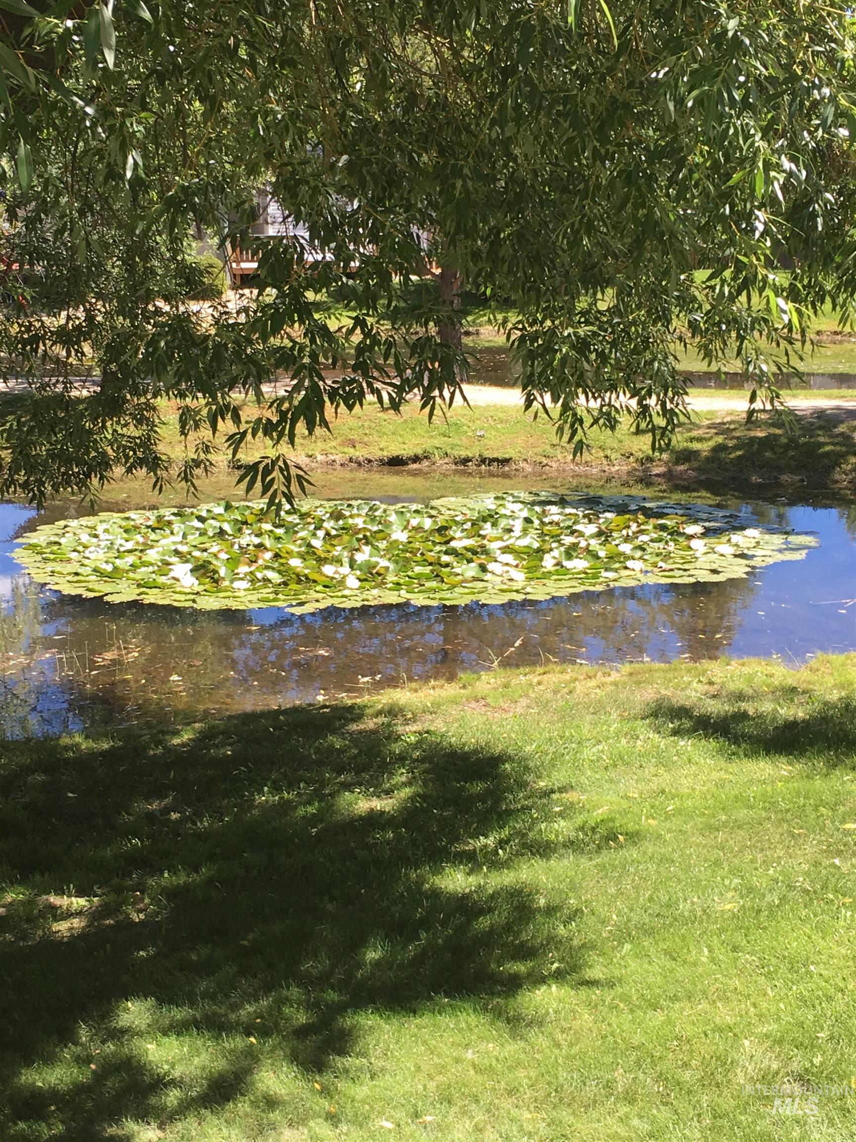 View of home's community with a water view and a yard