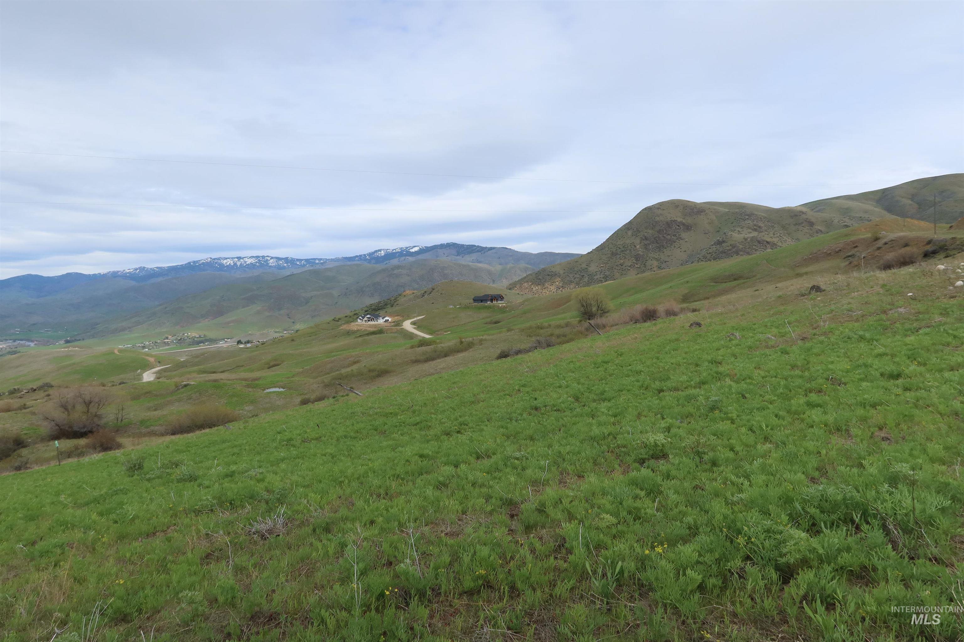 The acreage features a diverse mix of native vegetation, adding beauty