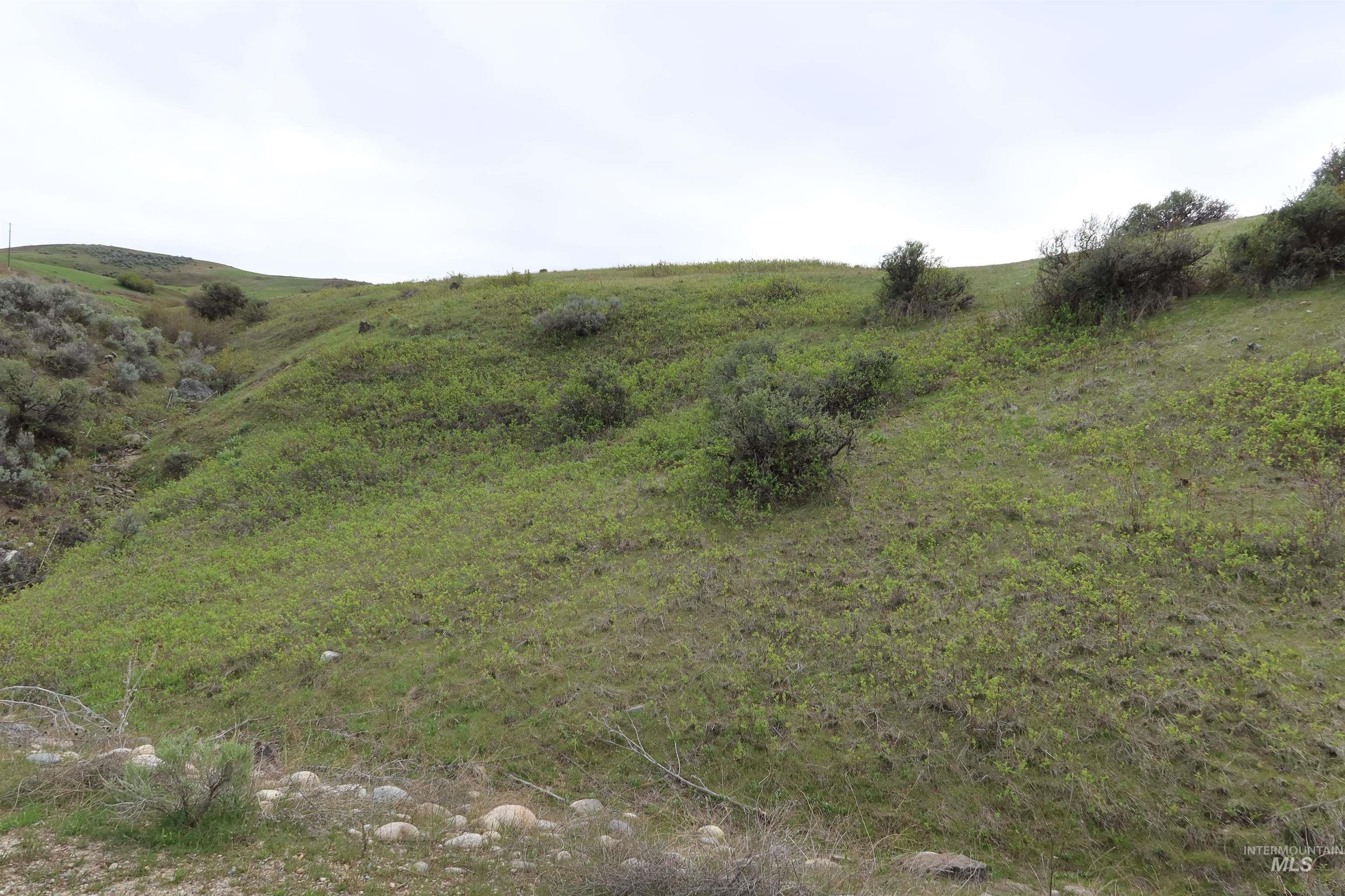 Boundaries encompass a landscape of soft contours and scenic locations for possible build sites