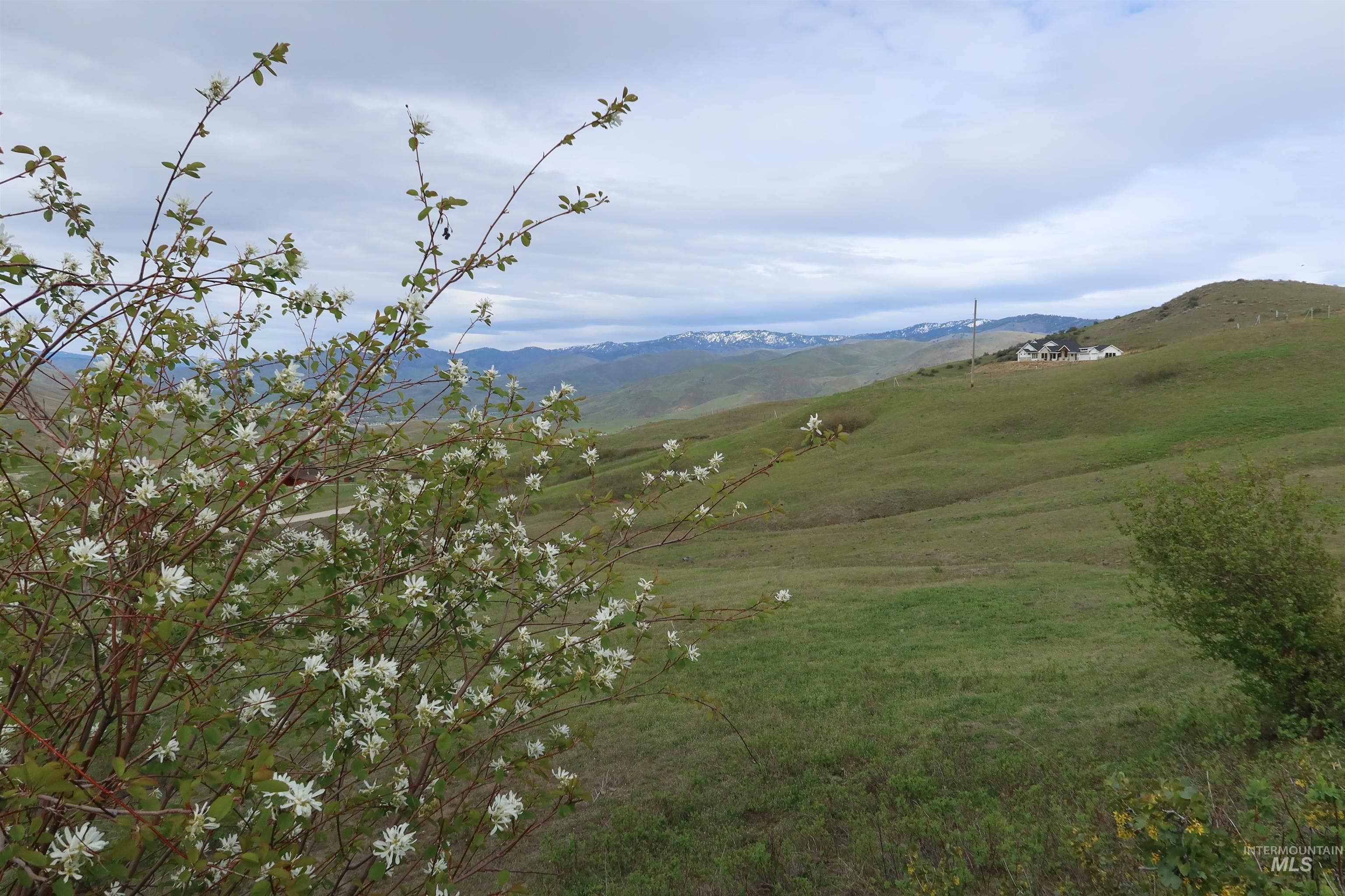 Rolling ground and natural cover allow for possible build sites tucked away with privacy