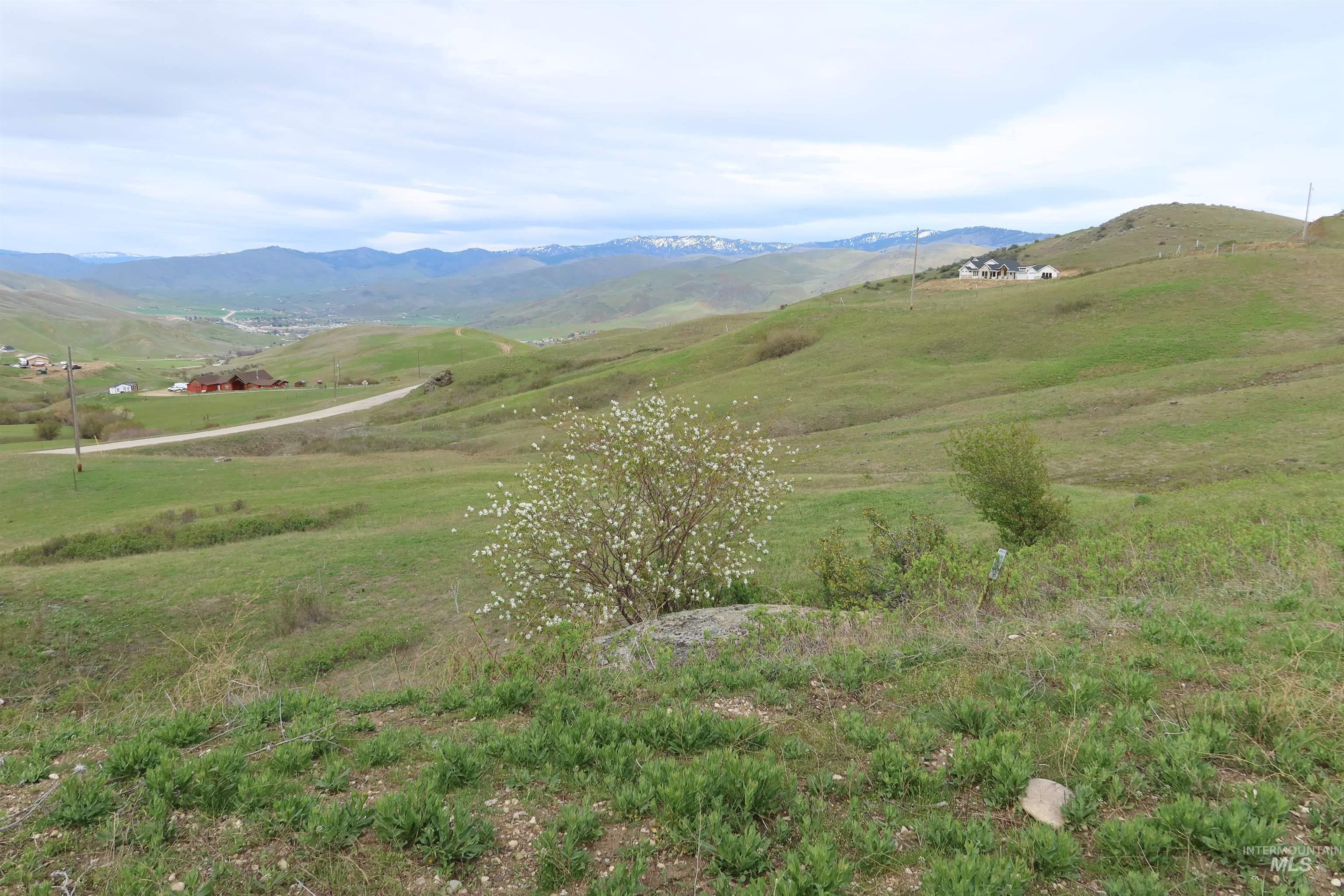 A variety of natural vegetation creates seasonal color and texture across the property
