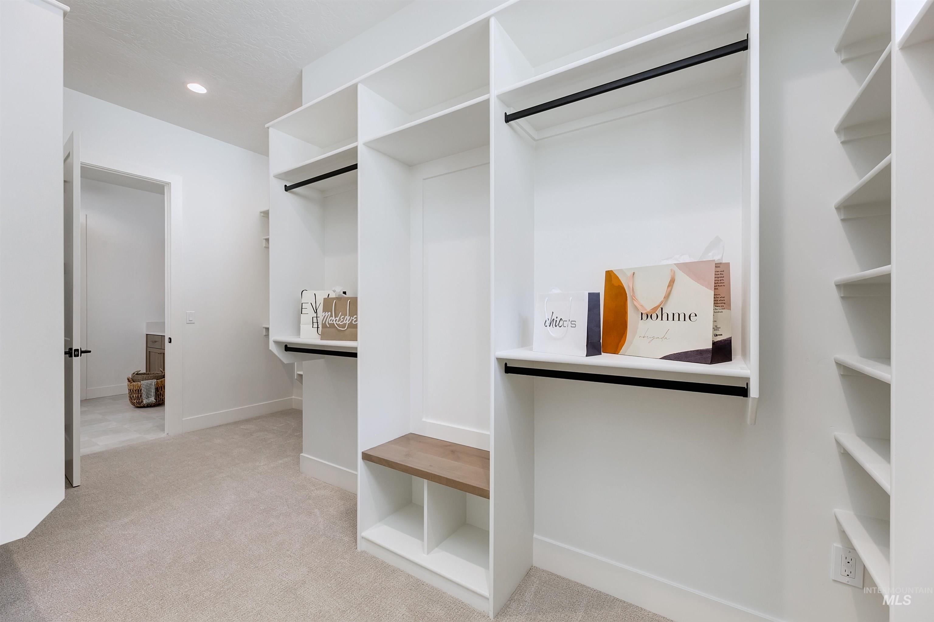 Spacious closet featuring light colored carpet