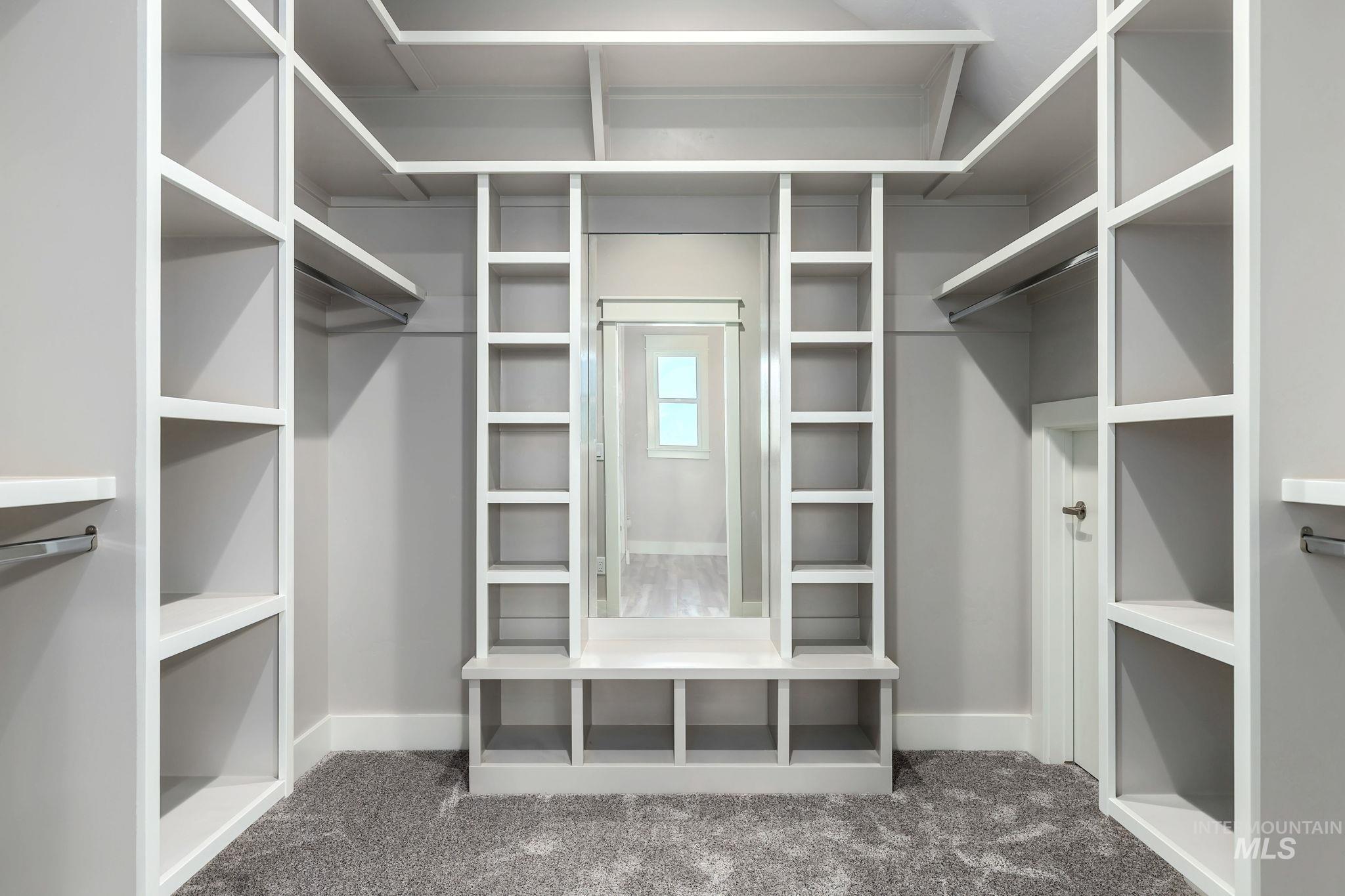 Walk in closet with carpet