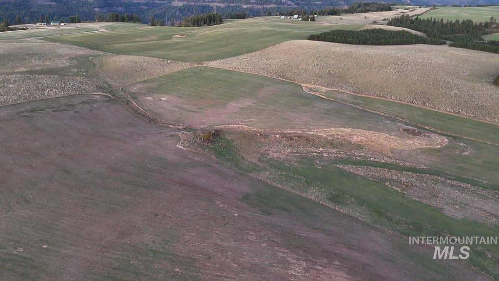 Photo of TBD Stuart Rd, 60 Acre Parcel, Orofino, ID 83544 (MLS # 98970658)