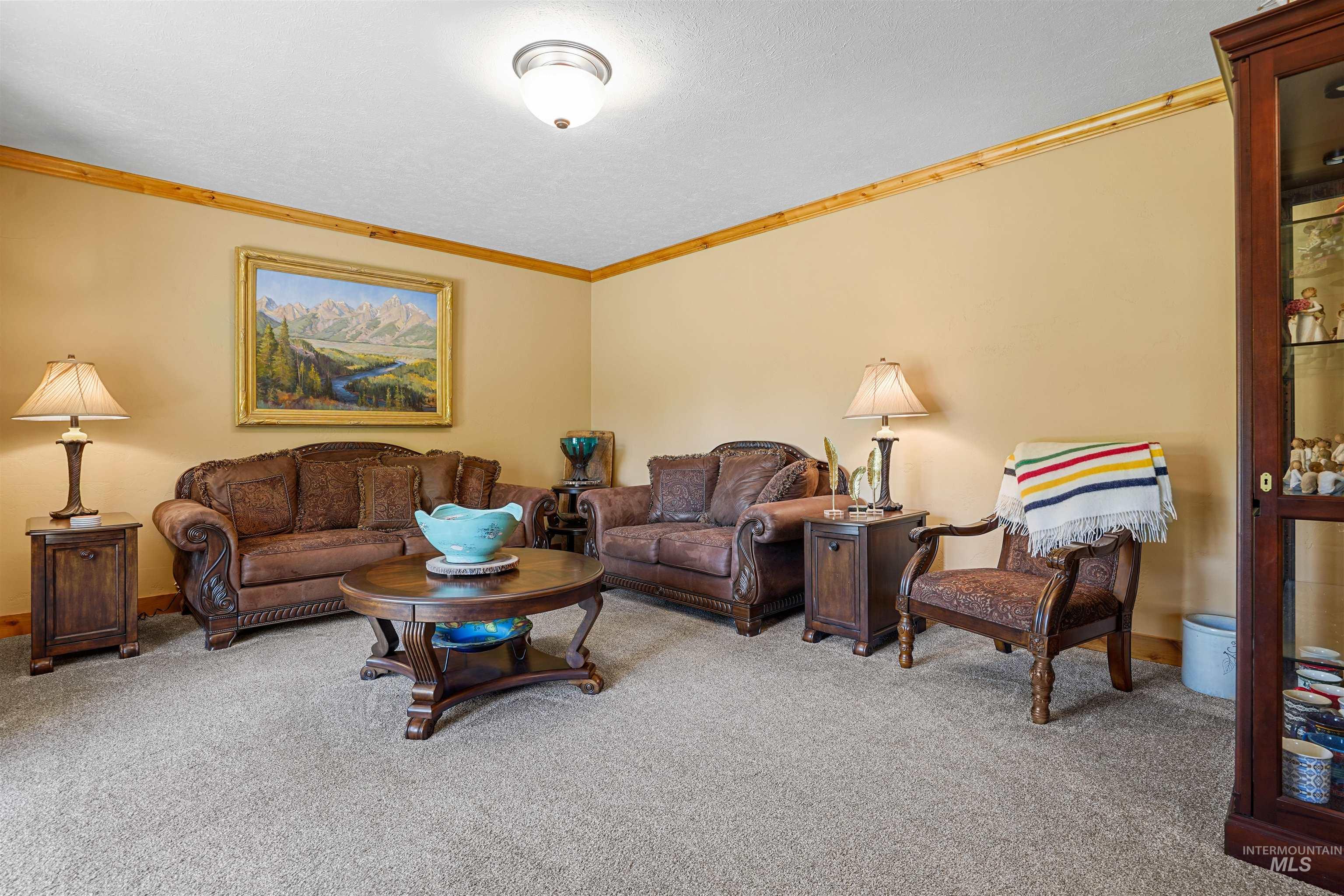 Living area featuring ornamental molding and carpet floors