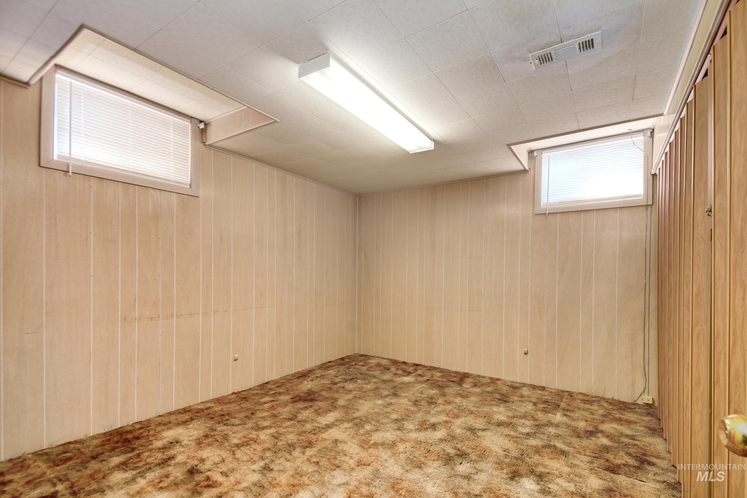 Basement with carpet flooring and wooden walls