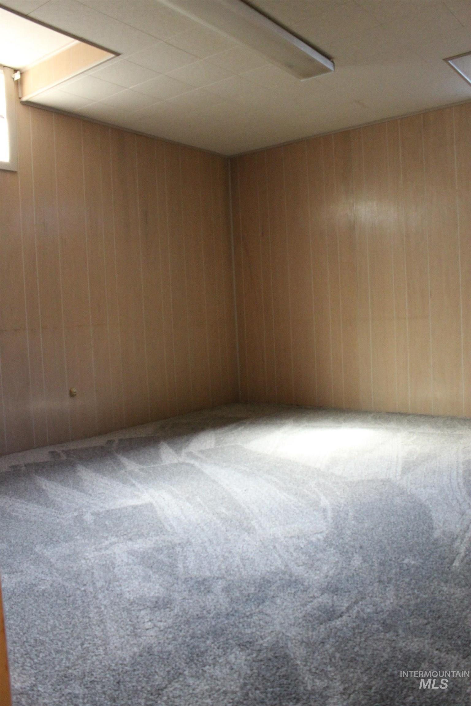 Spare room featuring carpet floors and wooden walls
