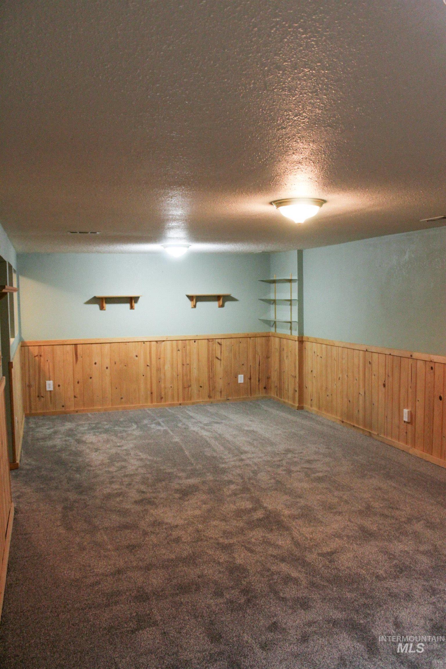 Finished basement featuring a textured ceiling, wainscoting, dark colored carpet, and wooden walls