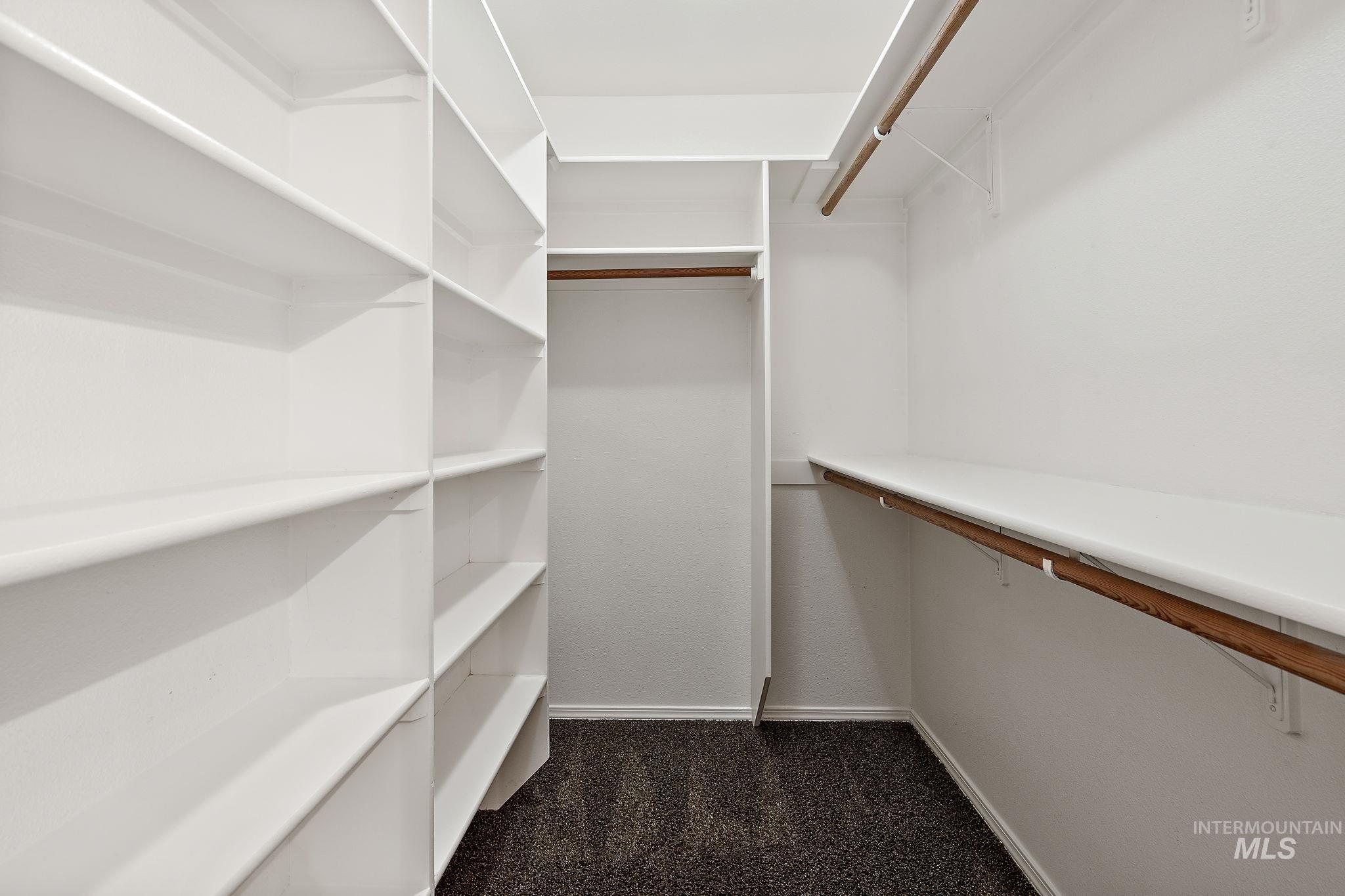 Spacious closet with dark colored carpet