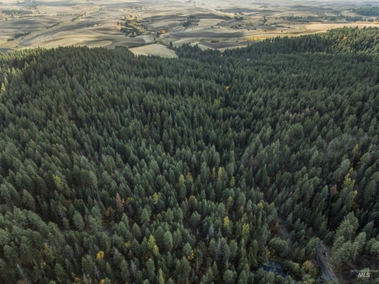 FOOTHILL RD, MOSCOW, ID 83843 - Image fce41370abc58fc5d07d0fe08c802305/793510308