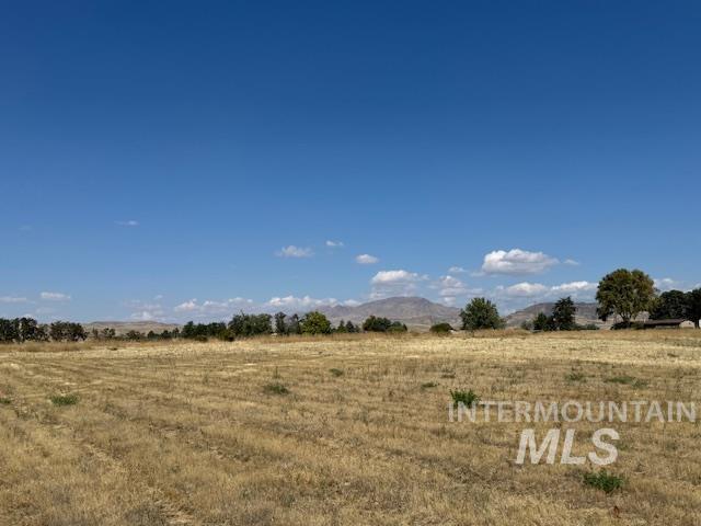 View of yard with a view of rural / pastoral area and a mountain view