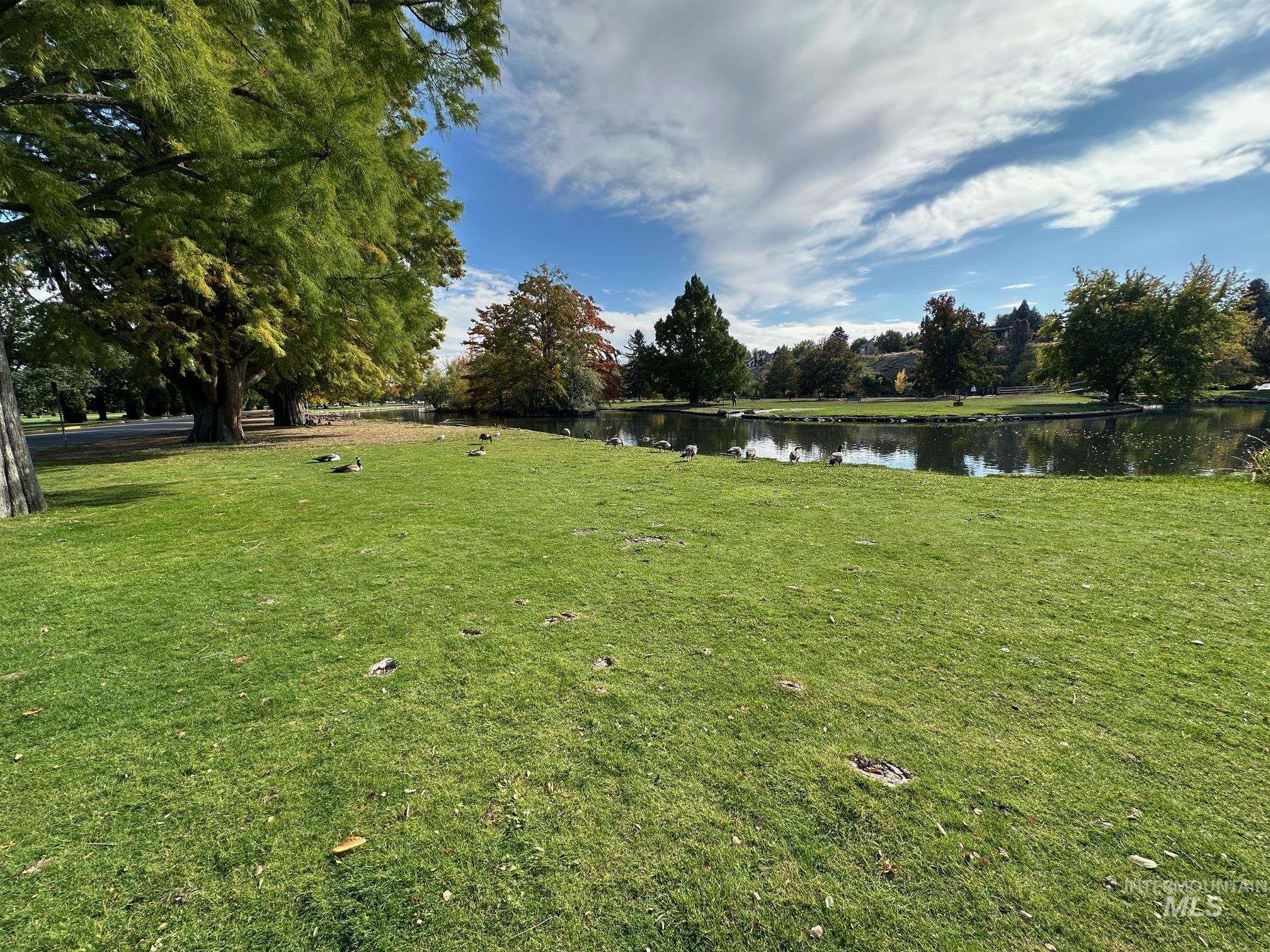 View of grassy yard with a water view