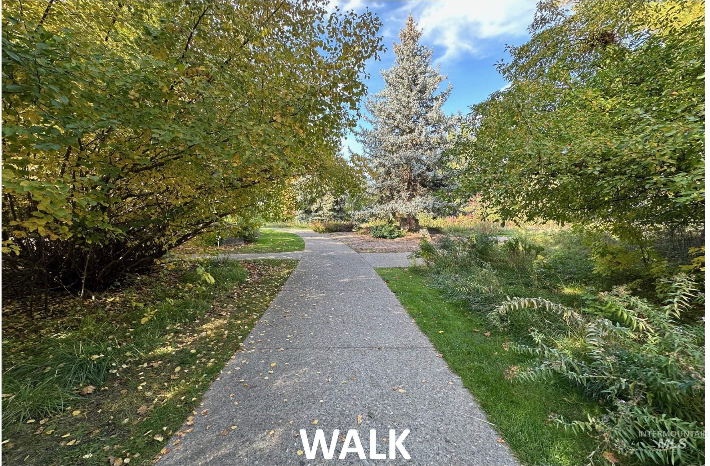 Surrounding community