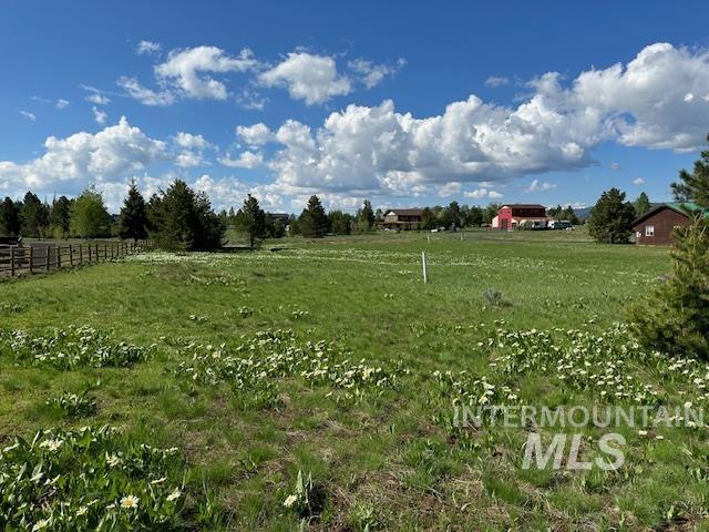 View of yard with a view of rural / pastoral area