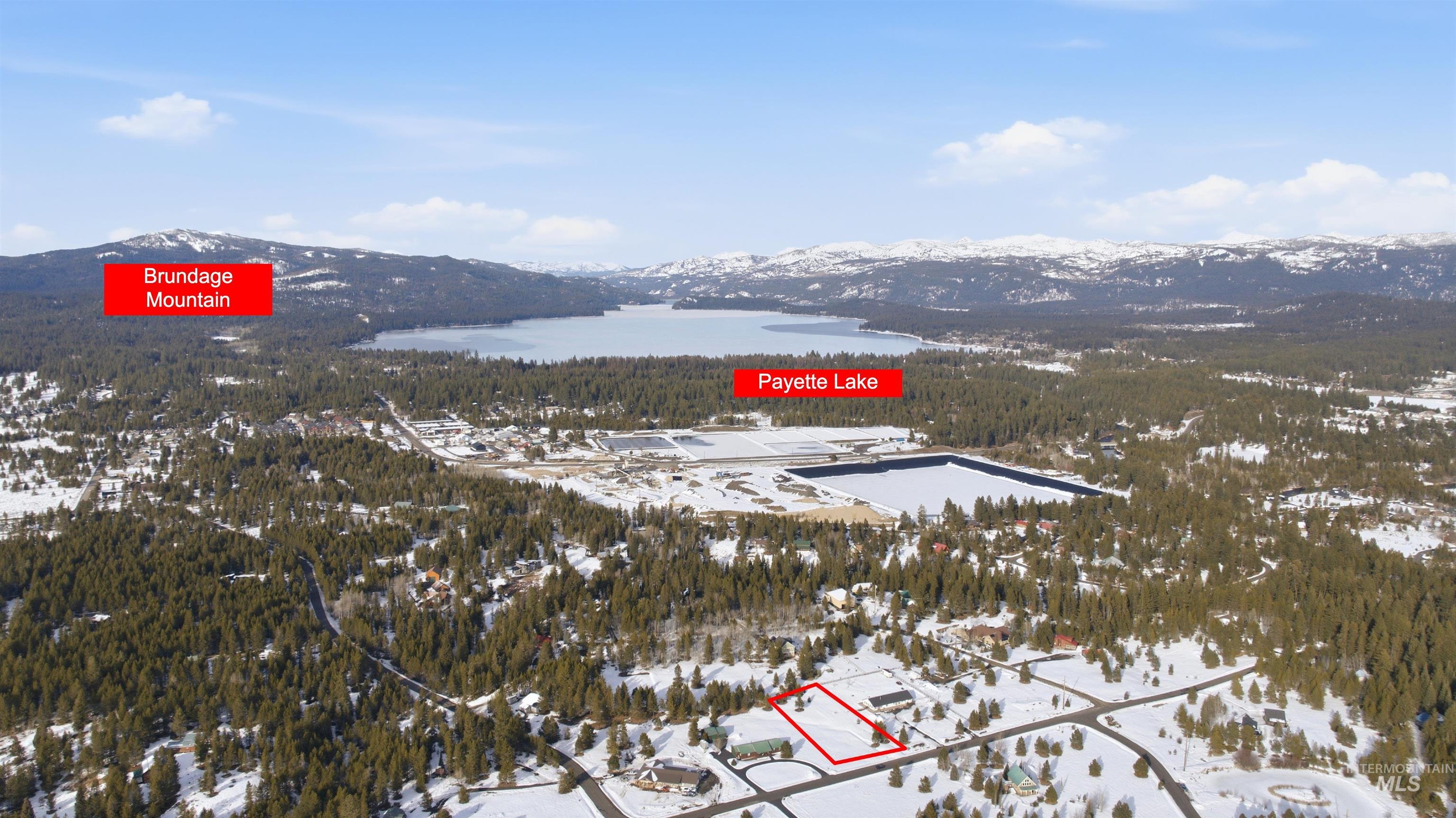 Snowy aerial view with a mountain view and a wooded view