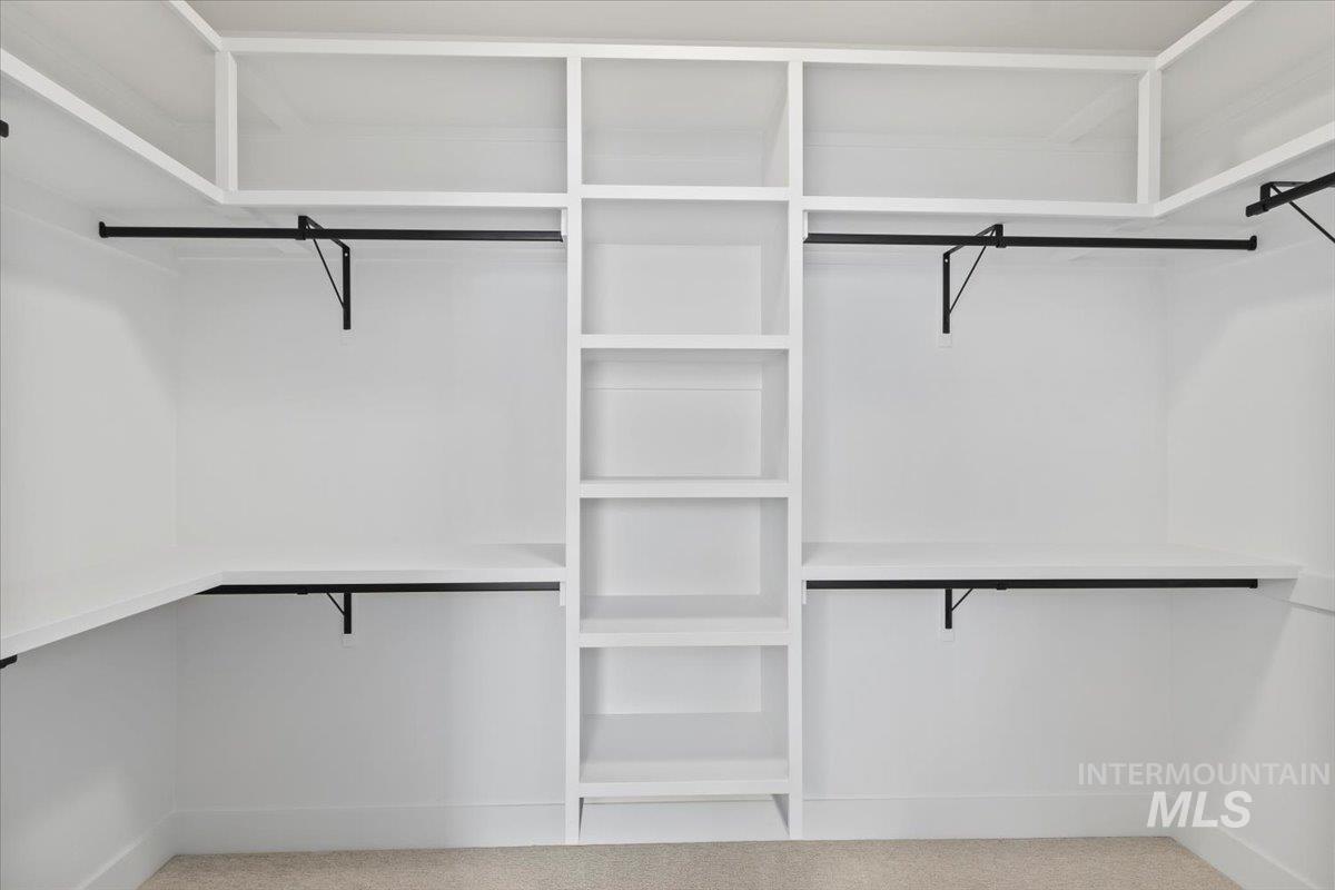 Walk in closet featuring carpet floors