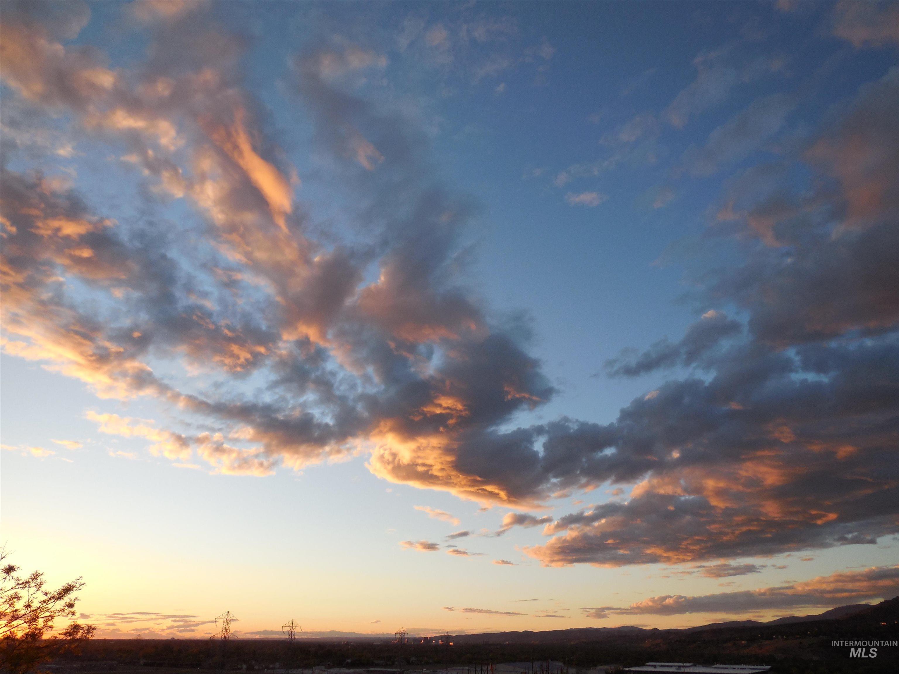 View of undeveloped land