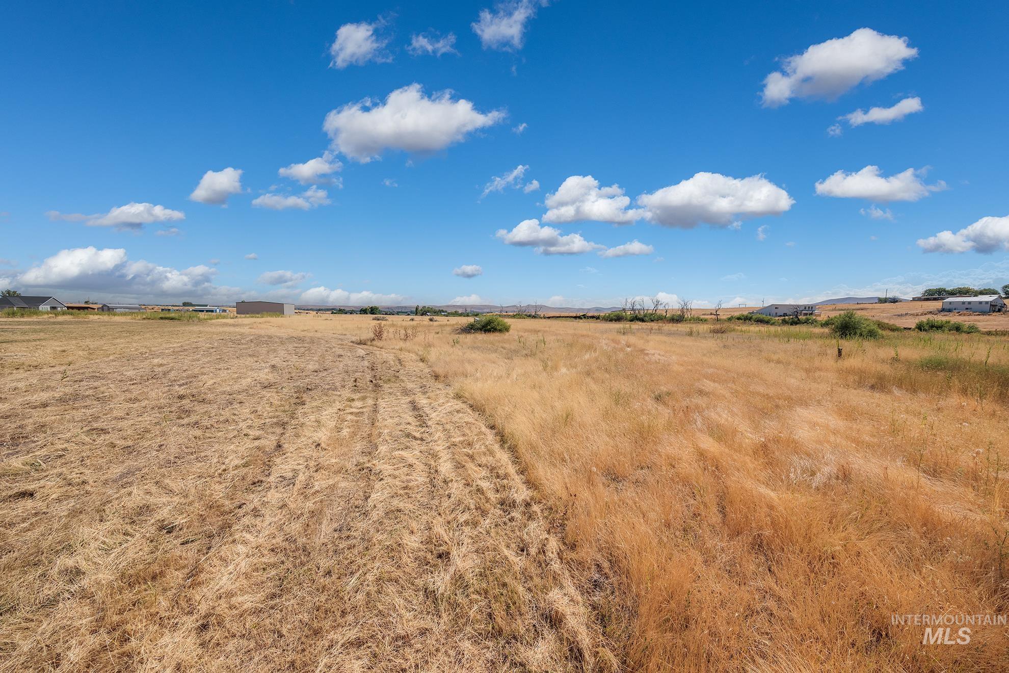 Expansive open land featuring golden grasses and a clear sky with scattered clouds