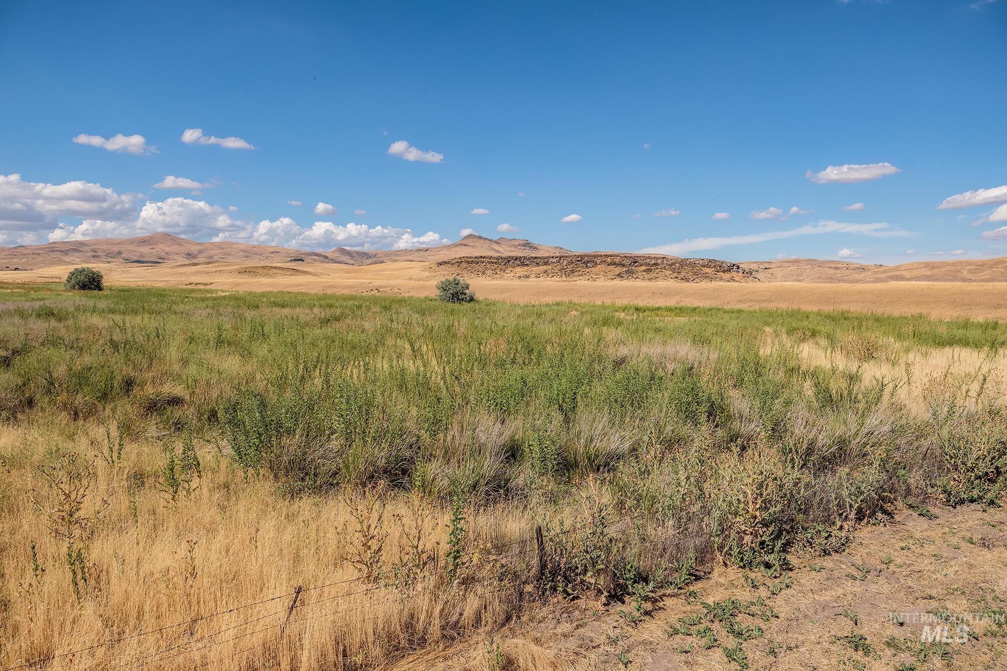 Expansive natural landscape featuring varied vegetation and distant hills under a clear blue sky