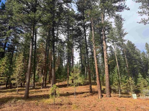 Photo of TBD Sorrel Dr, New Meadows, ID 83654 (MLS # 98965869)