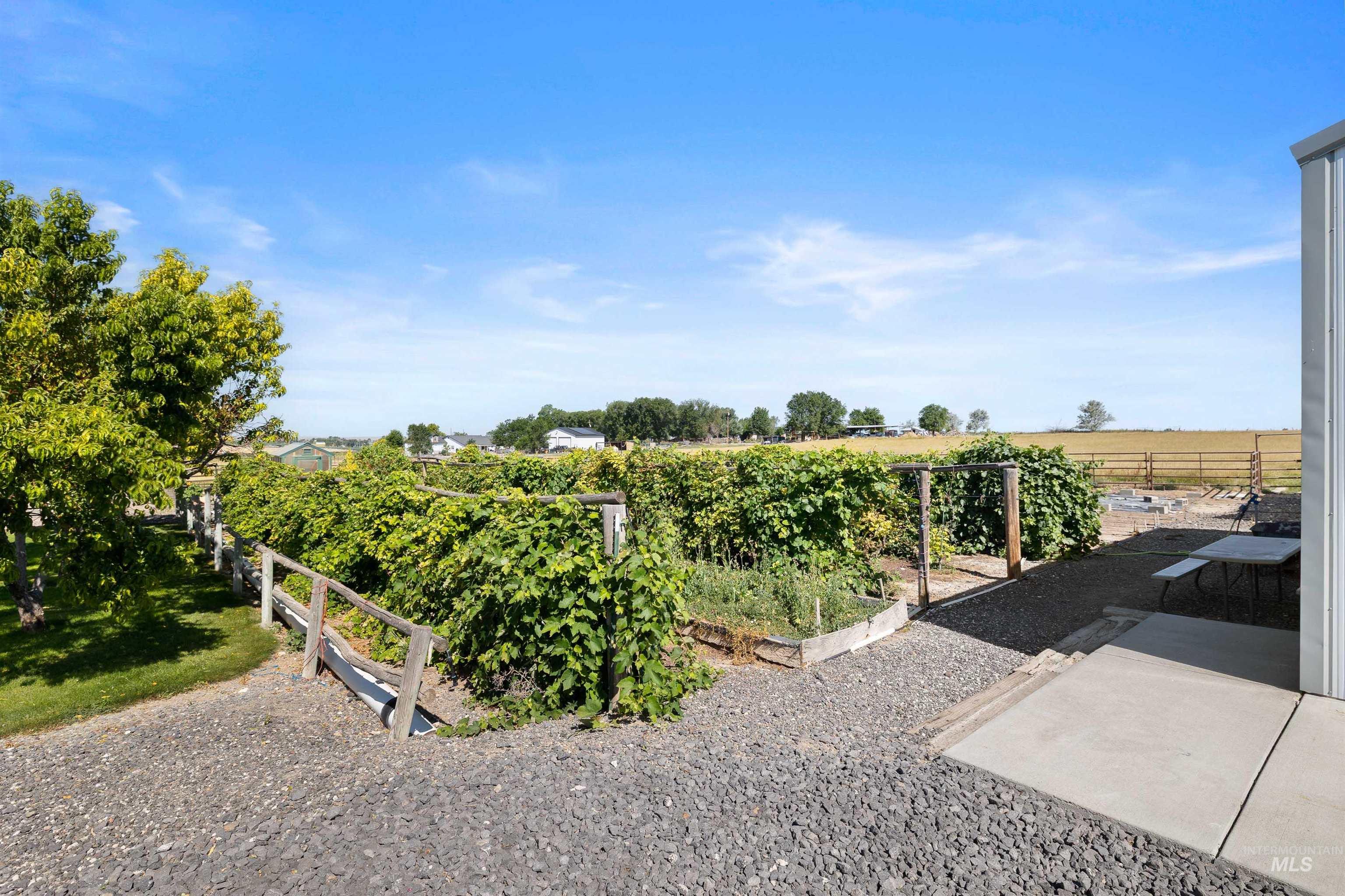 View of yard with a vegetable garden and a patio area
