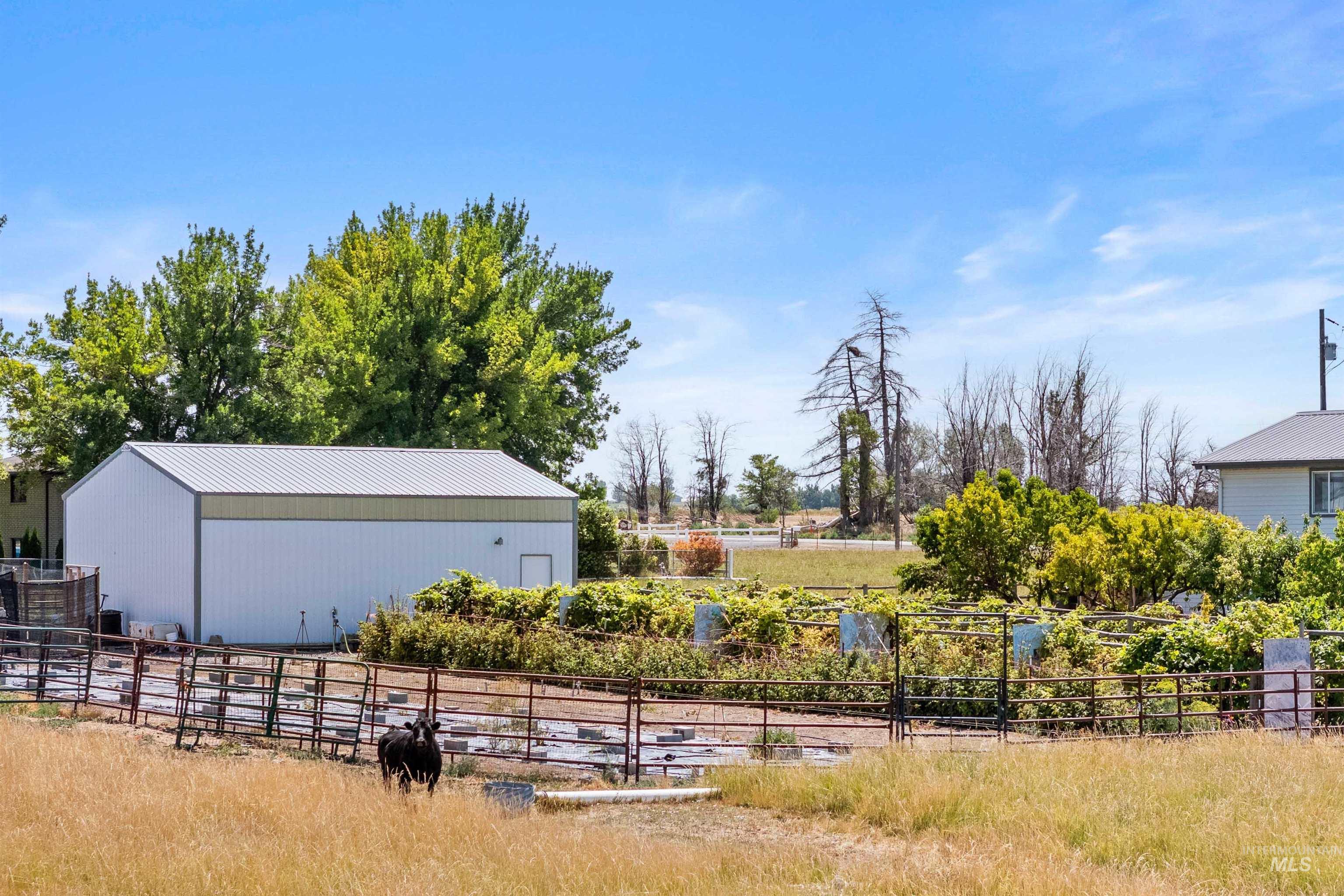 View of yard with an outbuilding and an outdoor structure