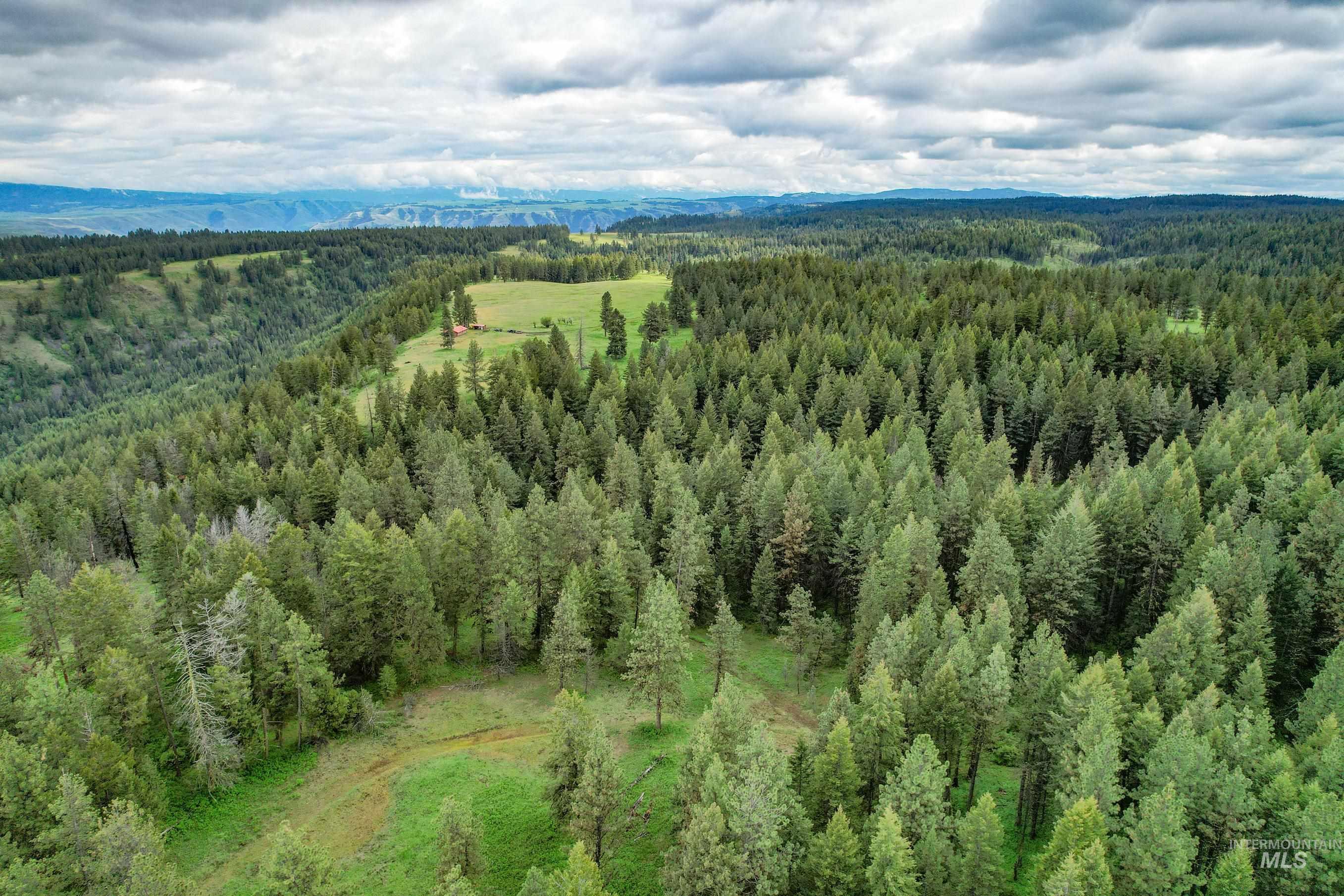205 Burnt Creek Road