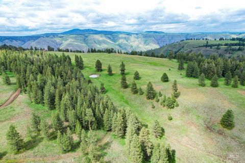 Photo of 205 Burnt Creek Road, CottonWood, ID 83522 (MLS # 98947716)
