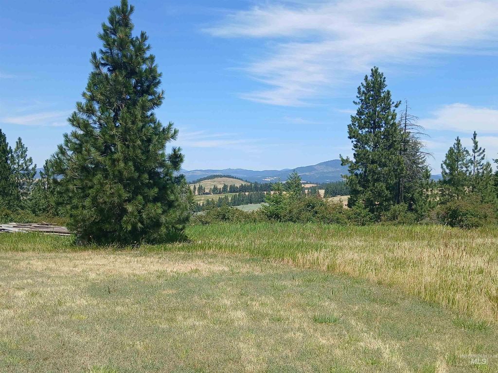 Photo of 1076 Headrick Rd, Potlatch, ID 83855 (MLS # 98993926)