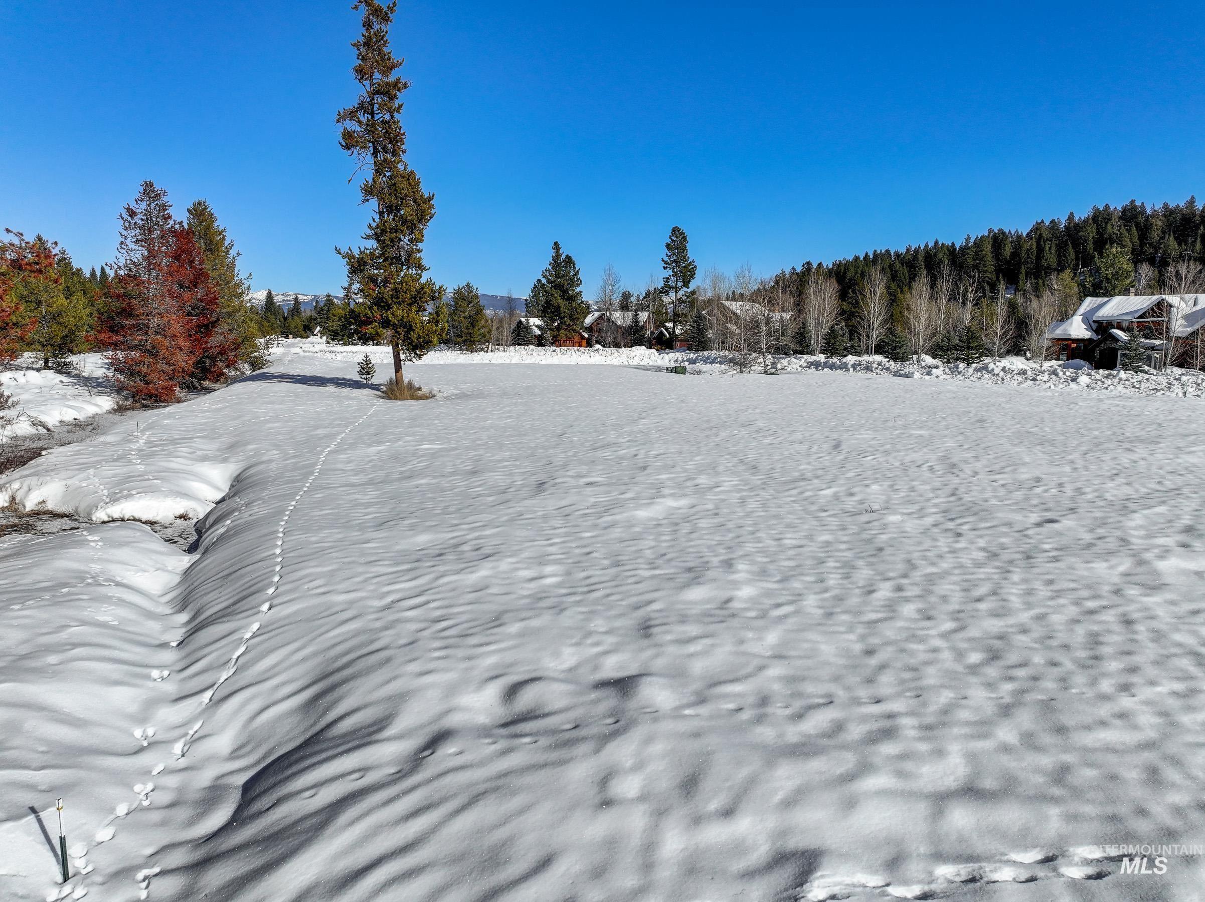 View of snowy yard