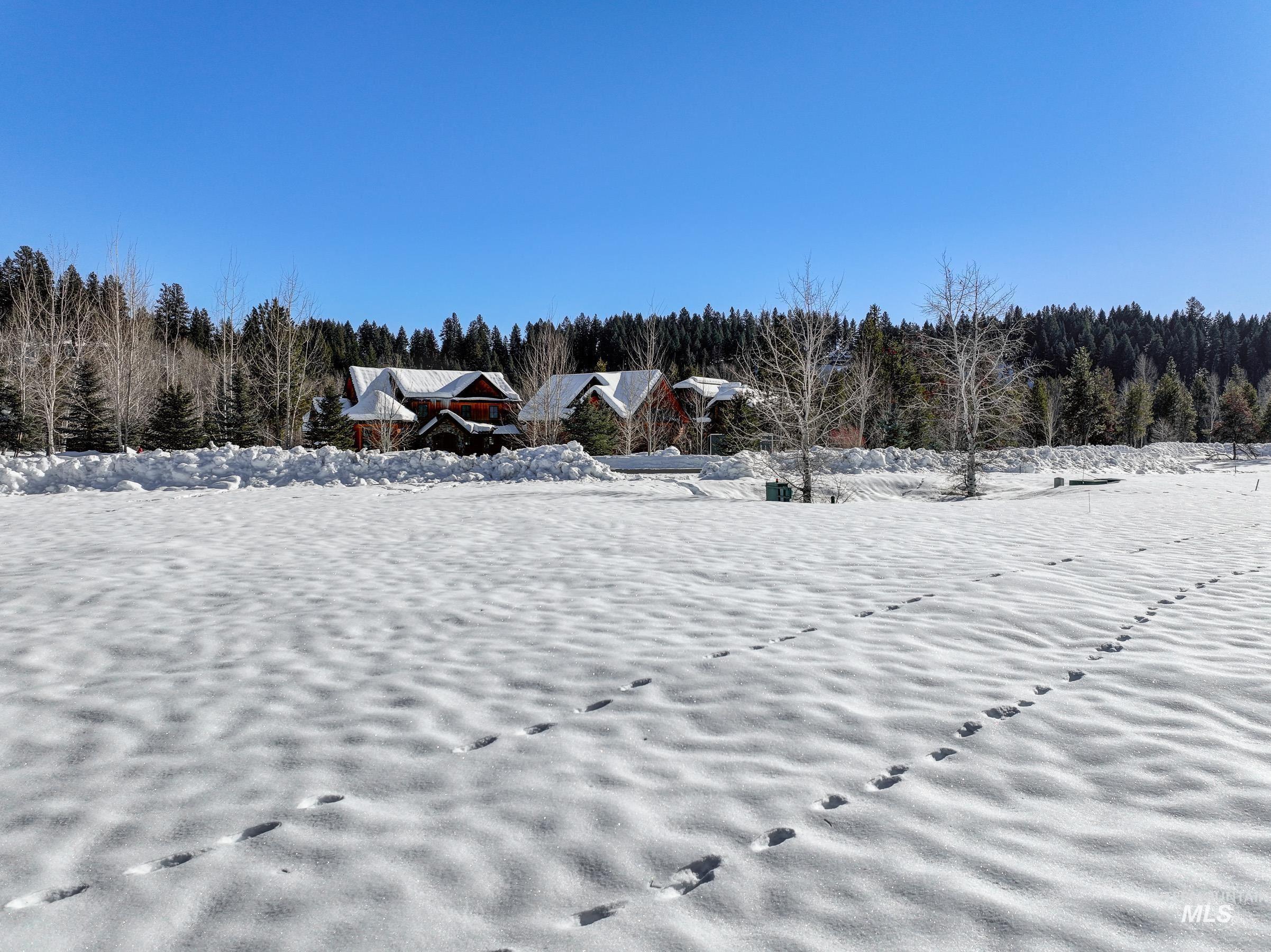 Yard covered in snow featuring a forest view