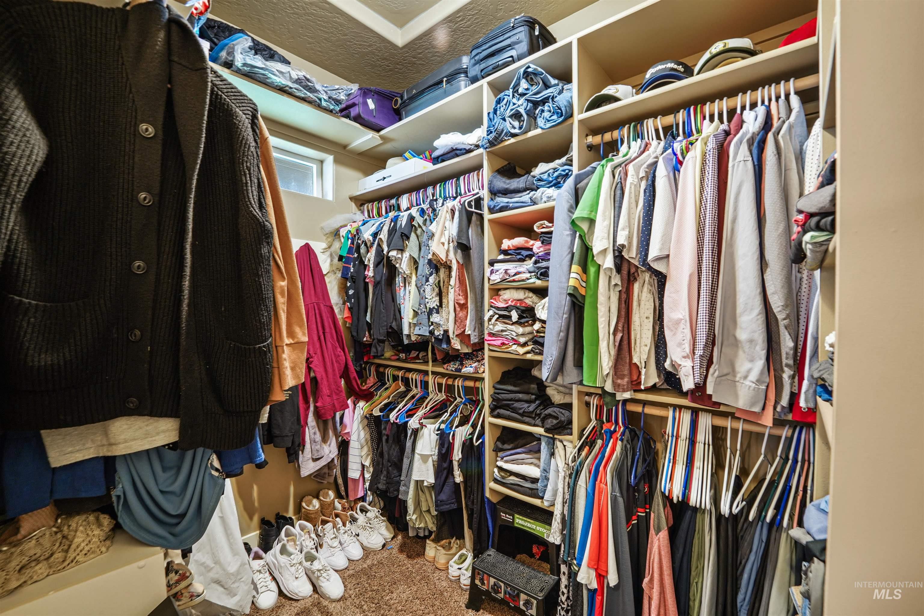 Walk in closet featuring carpet