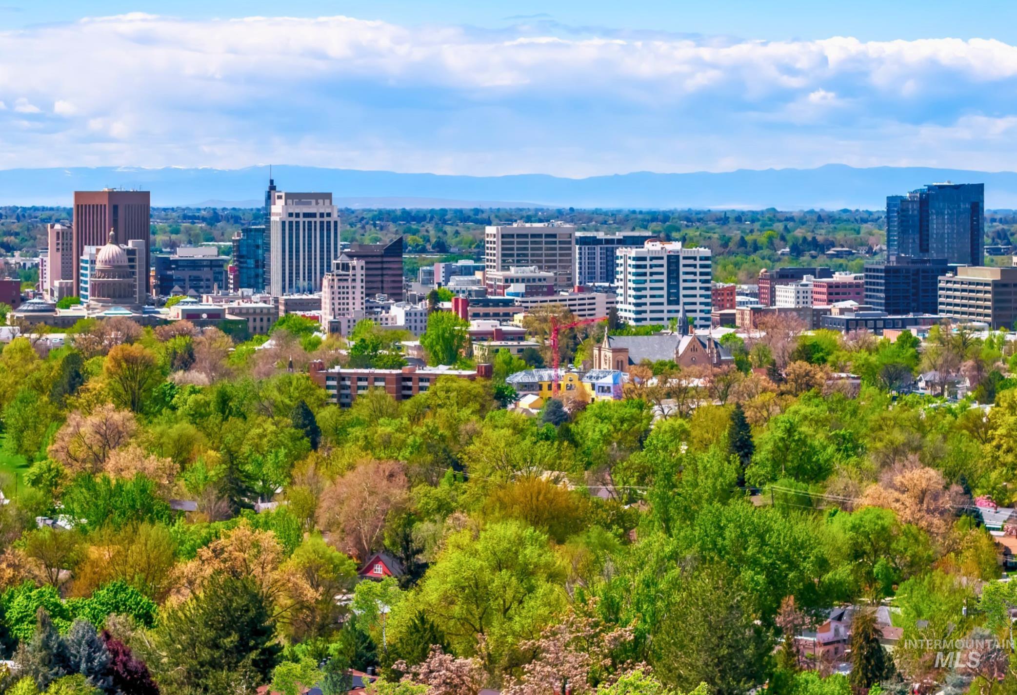 Expansive cityscape featuring a prominent collection of high-rise buildings and commercial structures