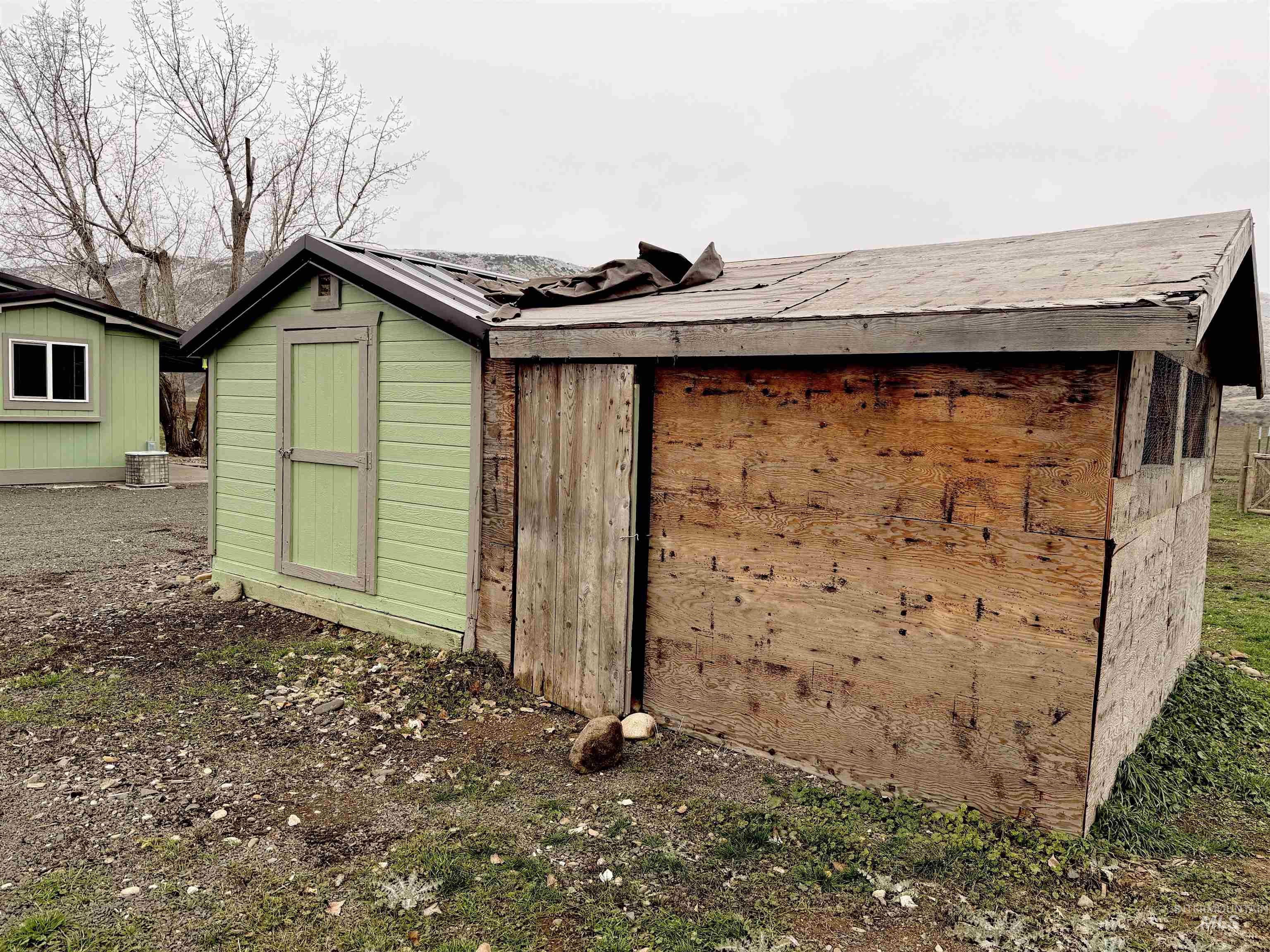 View of shed