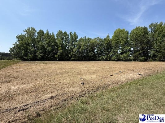 LENSON MANGUM RD, PAGELAND, SC 29728 - Image 08bad429a76f76e04bccf7281fbf69a1/990414704