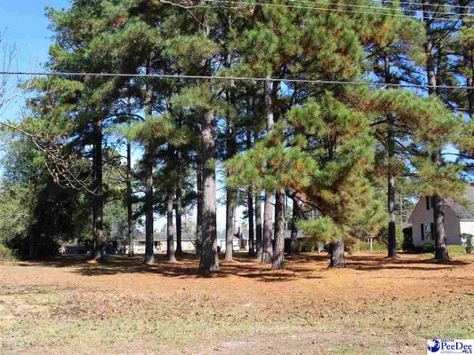 FRANKLIN AVE, MARION, SC 29571 - Image 08d9df0fa39c9976bbe46394ee63aa2f/3137796920