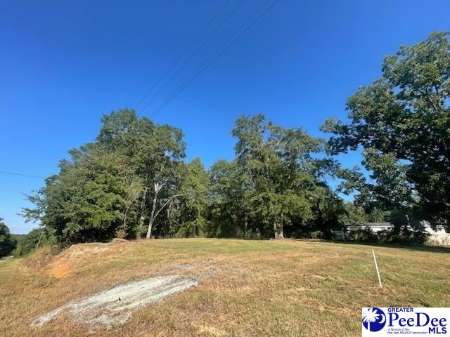 Photo 1 of 4 — Lot C | N Craig Street, Chesterfield, SC 29709