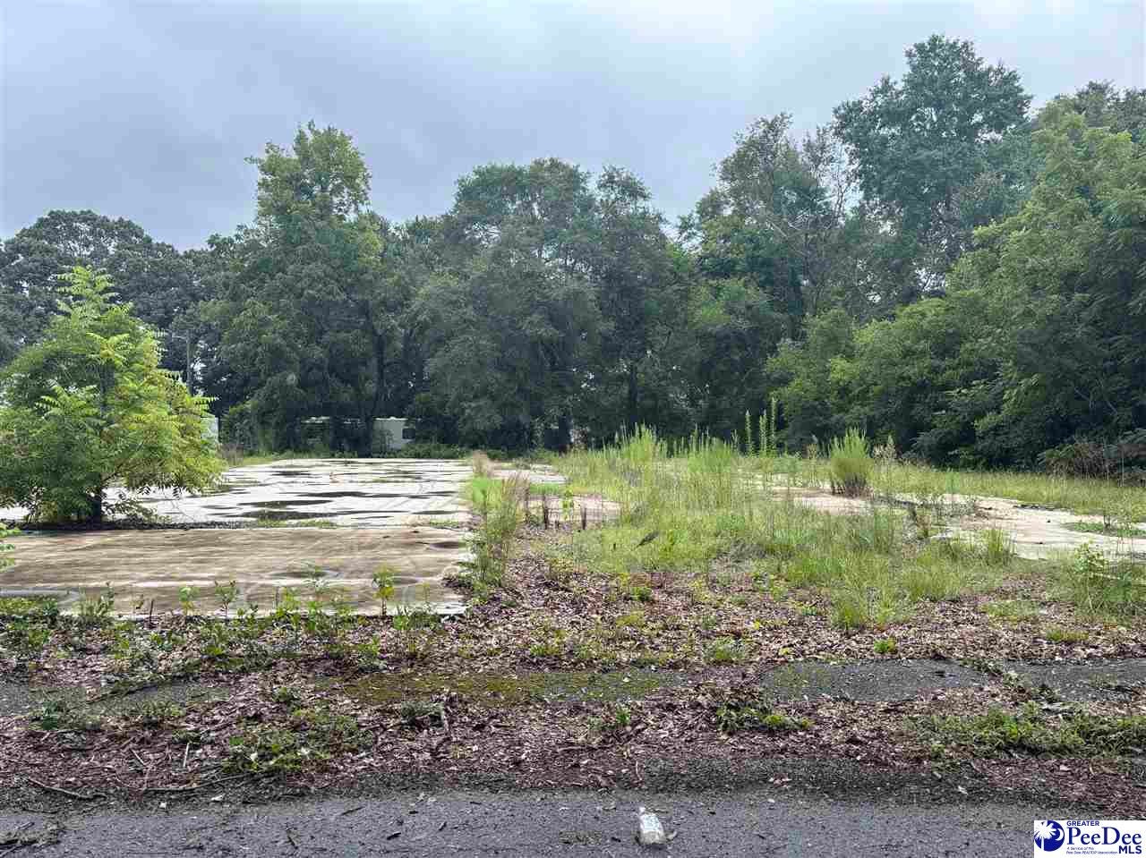 Photo 1 of 8 — 920 Collins St, Hartsville, SC 29550