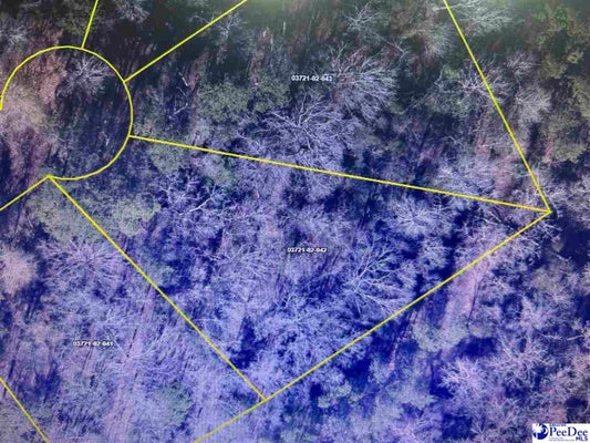 LOT 42 MAGIC ISLAND, PAMPLICO, SC 29583 - Image 0cf2c59f8d1cd9ec34906f7aa67191ce/1349791591
