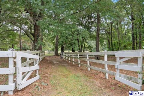 Single Family Residence in Florence SC 3490 Cherrywood Road 37.jpg